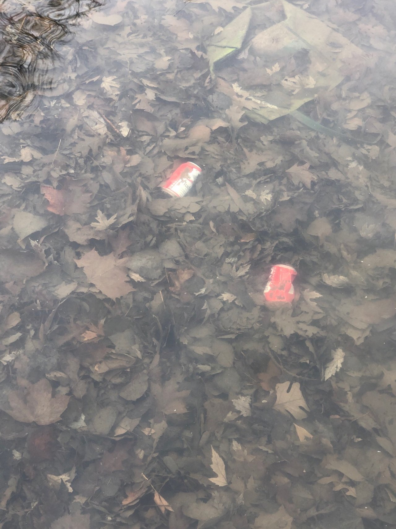 plastic pollution in CrowdWater App spotted by Clayton Jost on 18.12.2020
