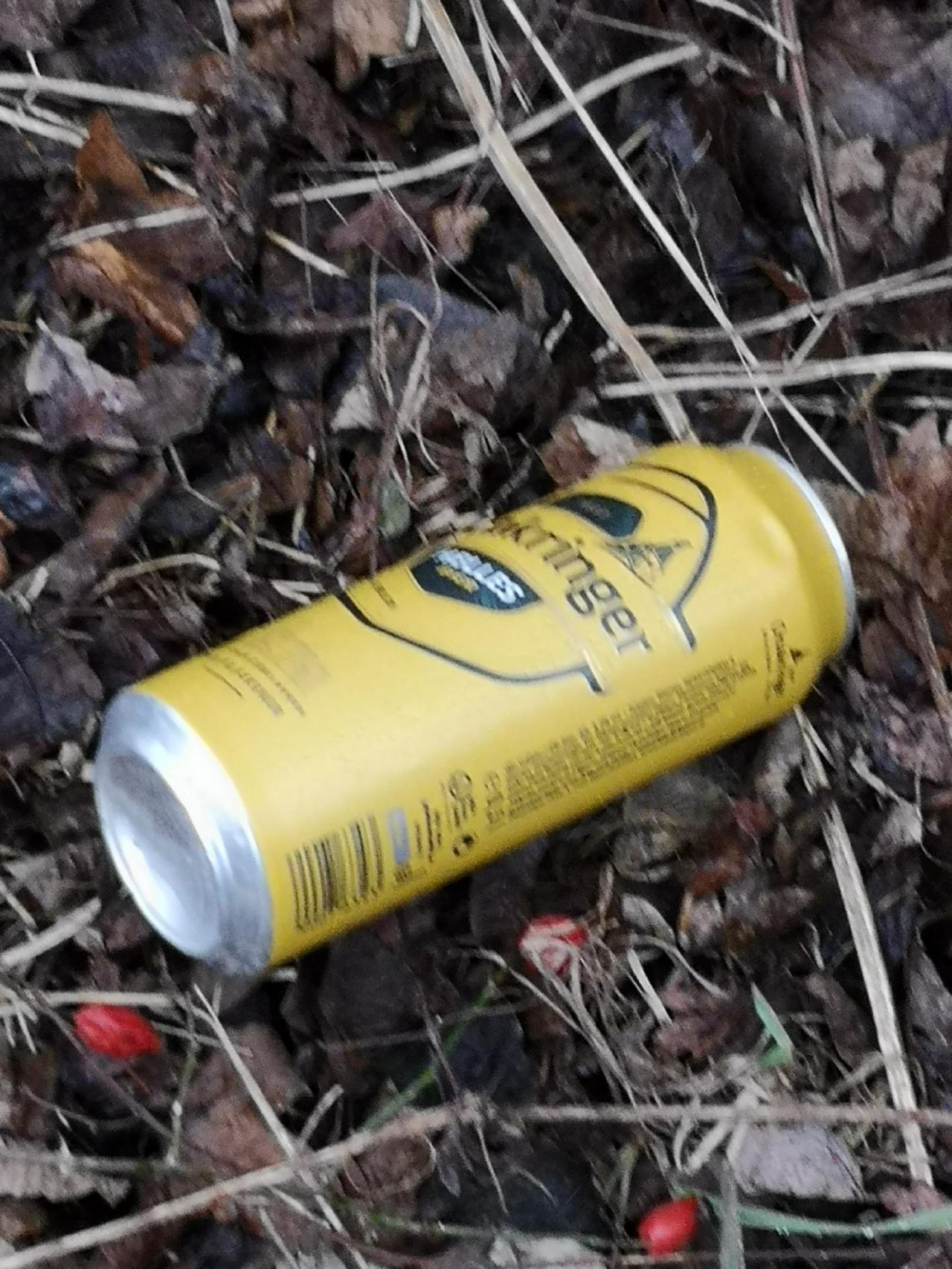 litter in DRECKSPOTZ | GLOBAL 2000 App spotted by Karluise on 28.01.2021