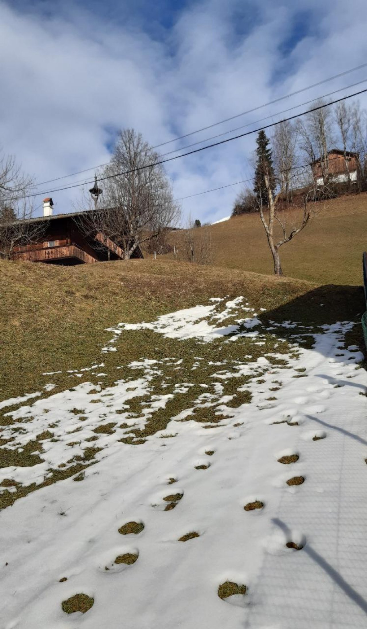 Ende der zusammenhängenden Schneedecke in Naturkalender App spotted by Steinbock on 01.02.2021