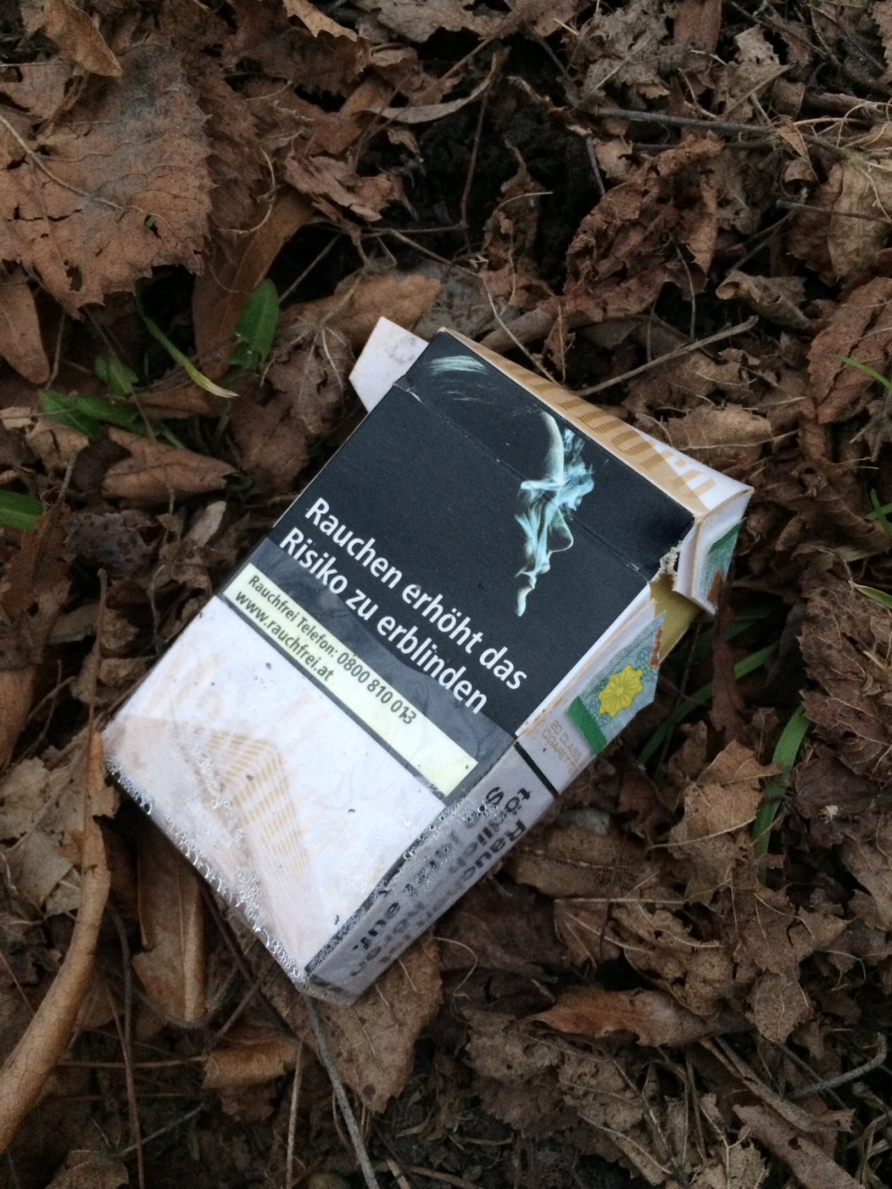 litter in DRECKSPOTZ | GLOBAL 2000 App spotted by HOEK2021AS on 11.03.2021