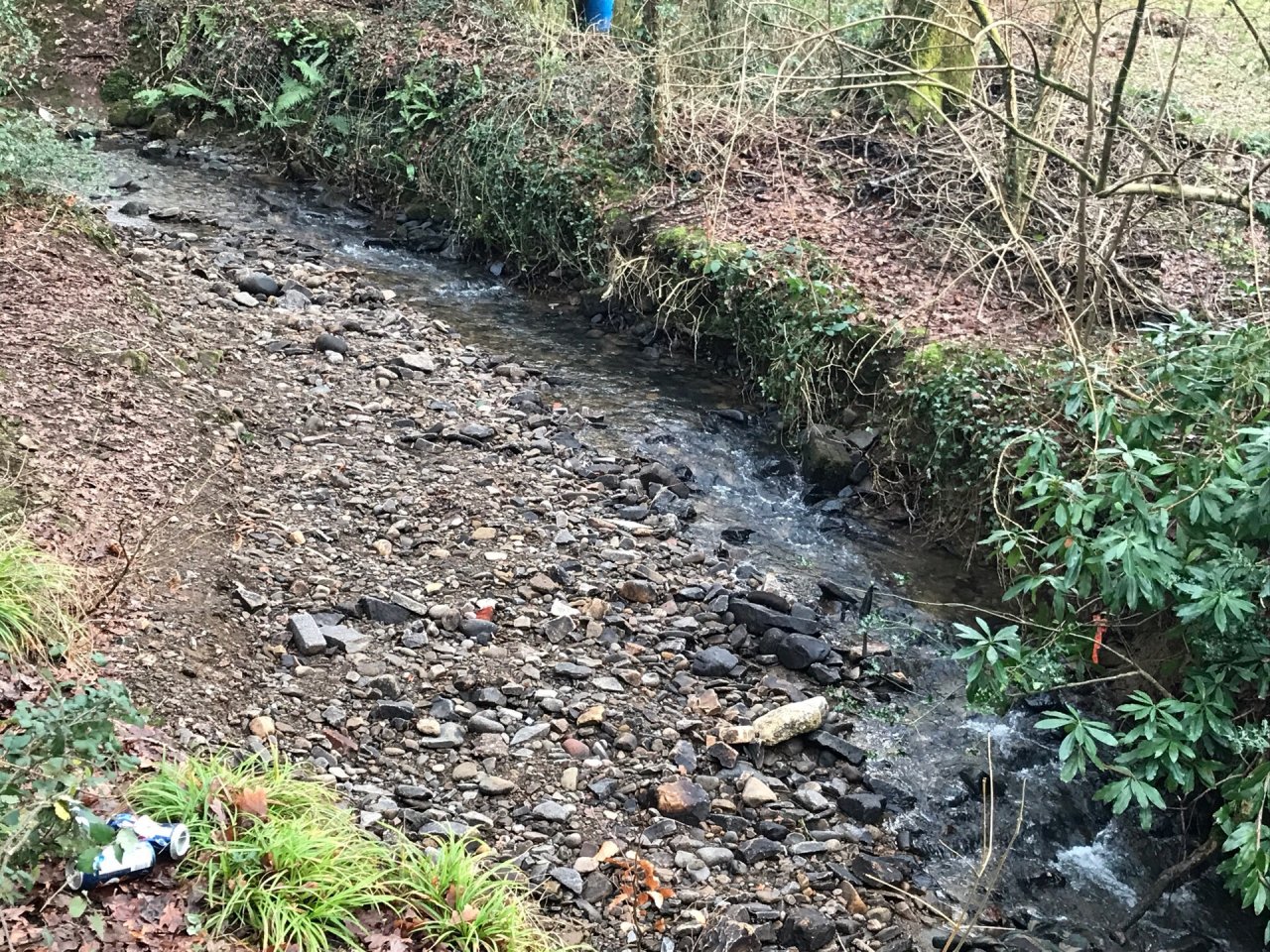 temporary stream in CrowdWater App spotted by Frances Attwood on 03.01.2021