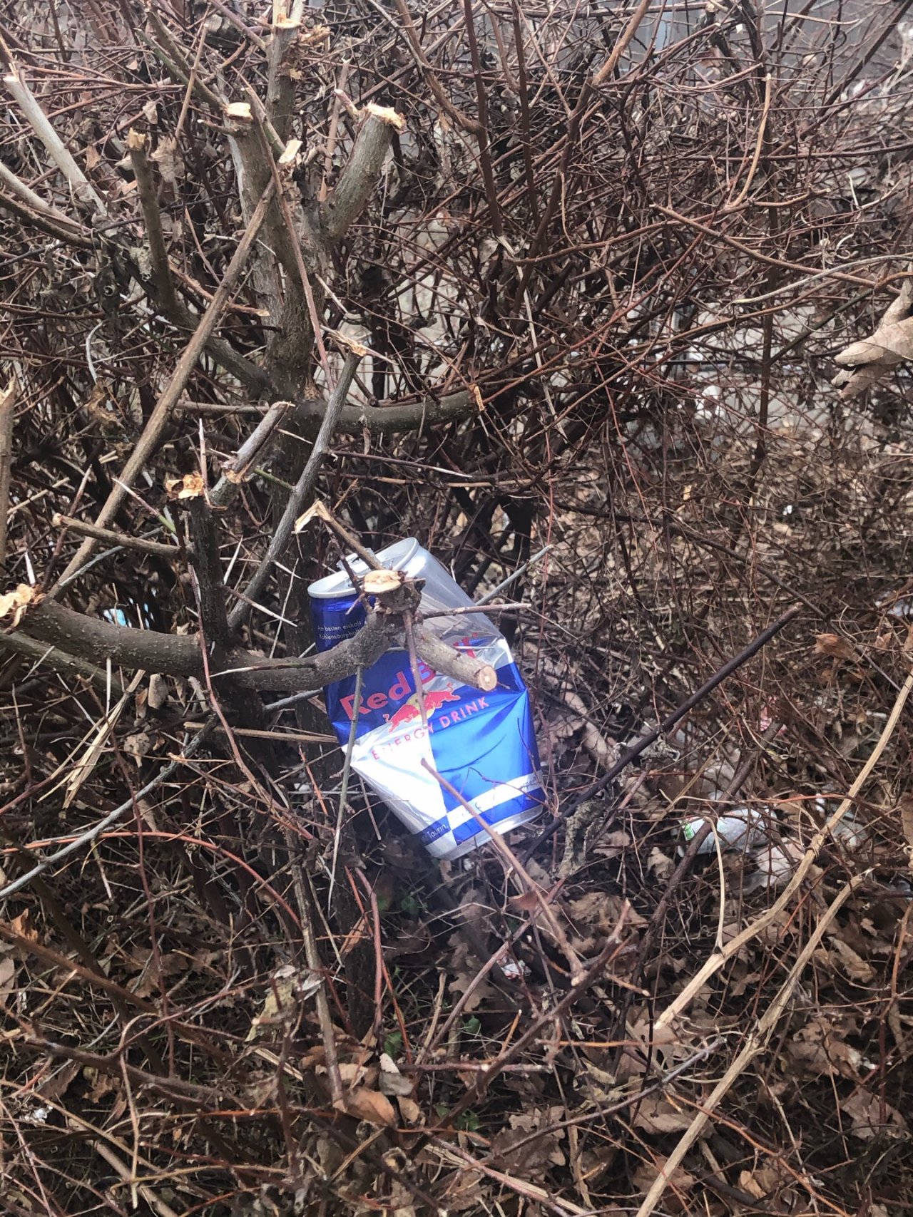 litter in DRECKSPOTZ | GLOBAL 2000 App spotted by Rafael on 24.01.2021