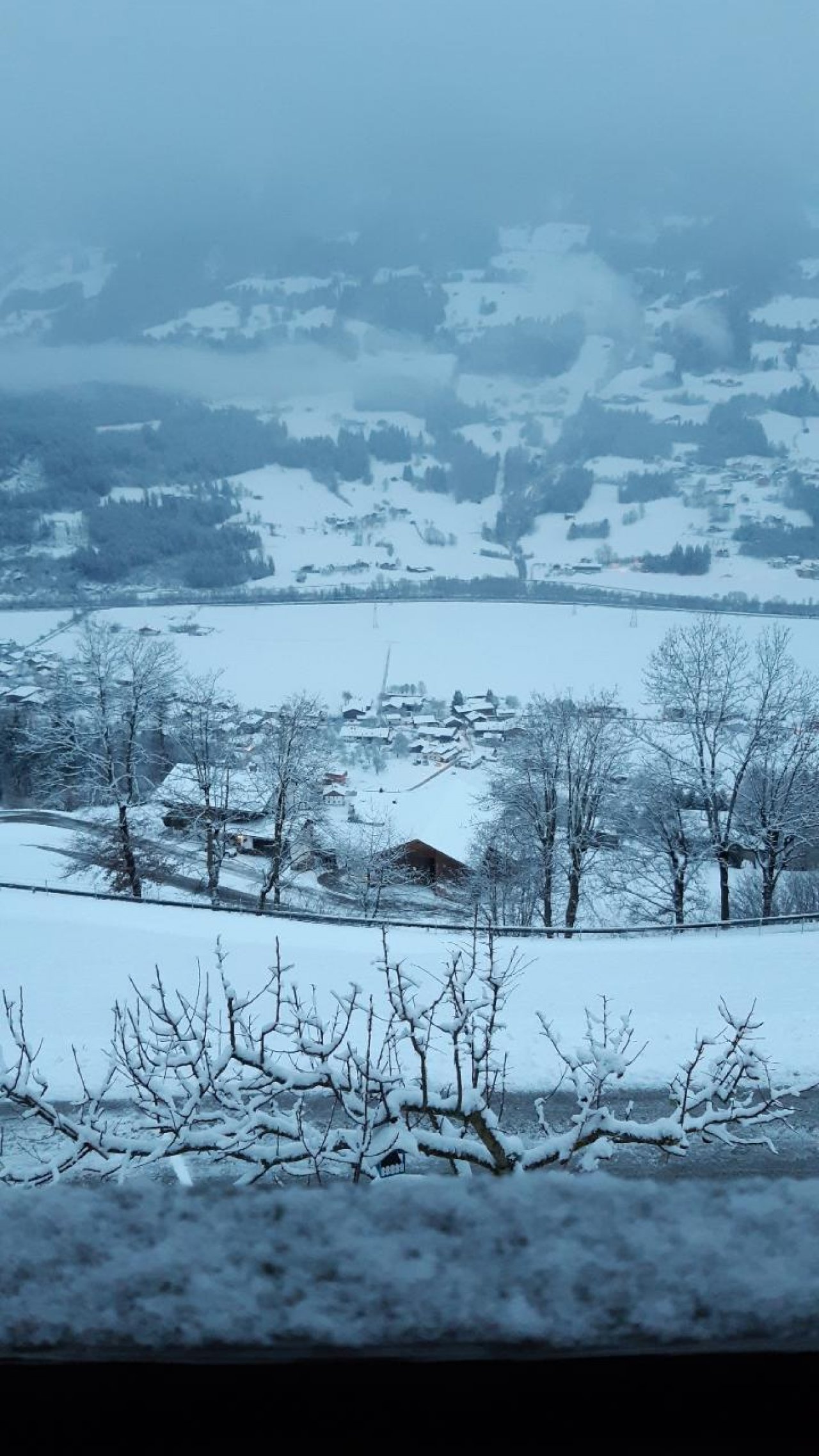 Zusammenhängende Schneedecke in Naturkalender App spotted by Steinbock on 13.01.2021