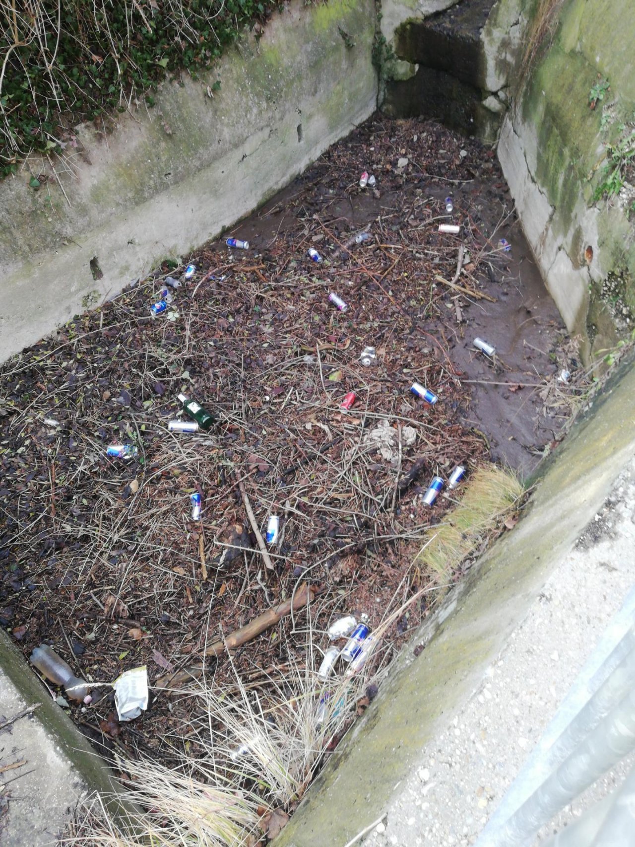 litter in DRECKSPOTZ | GLOBAL 2000 App spotted by Robert Köcher on 07.01.2021