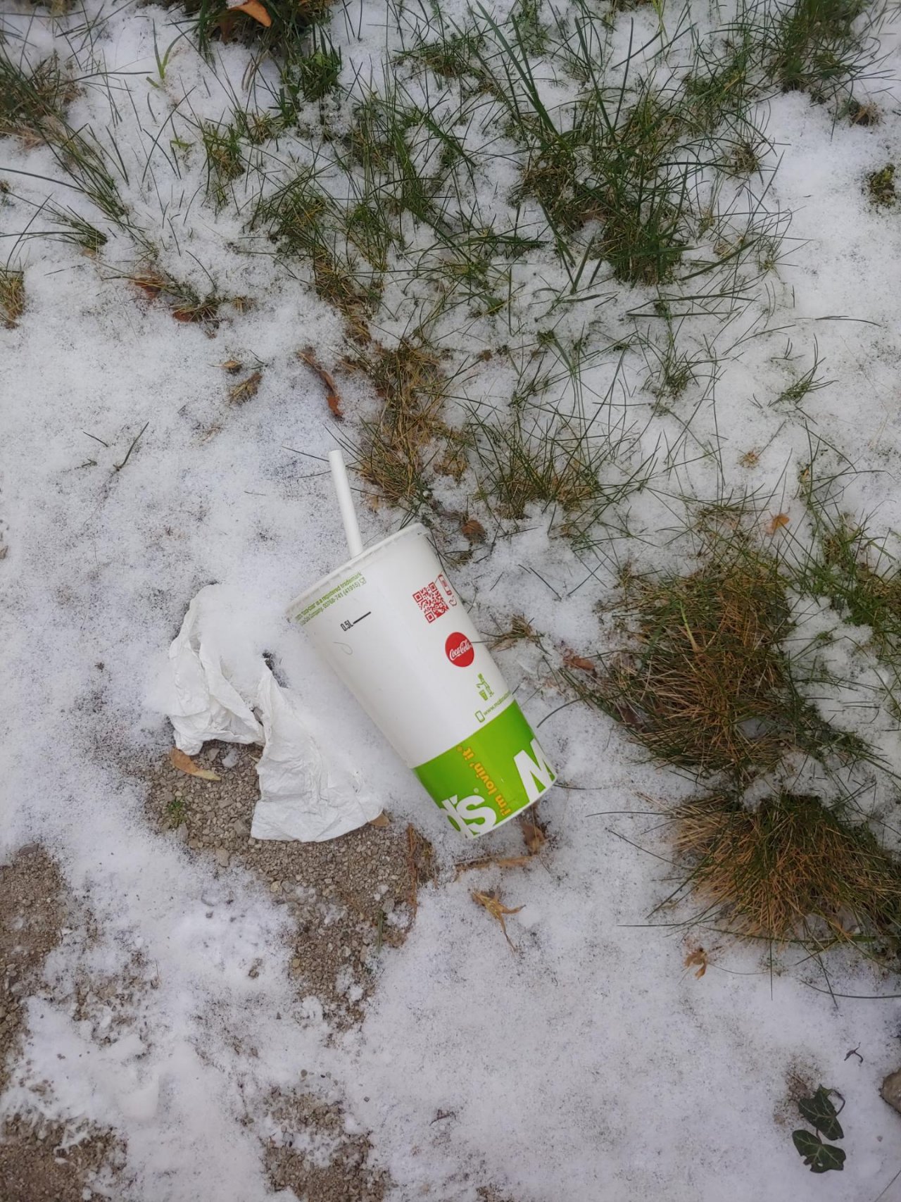 litter in DRECKSPOTZ | GLOBAL 2000 App spotted by Christian Kantner on 16.01.2021