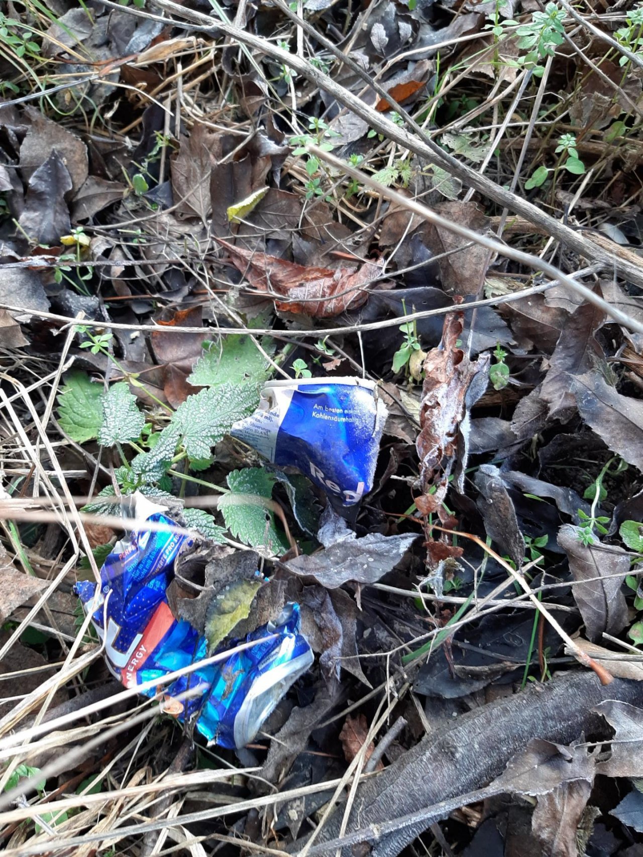 litter in DRECKSPOTZ | GLOBAL 2000 App spotted by Gudrun H. on 27.12.2020