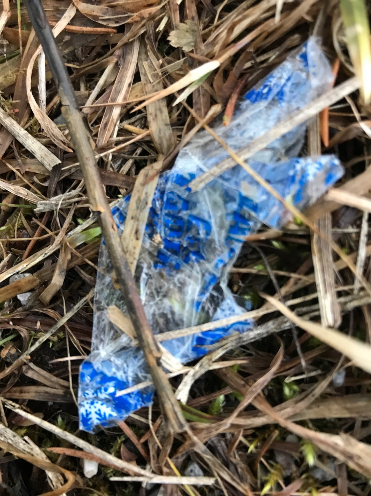 litter in DRECKSPOTZ | GLOBAL 2000 App spotted by Baumi21 on 24.02.2021