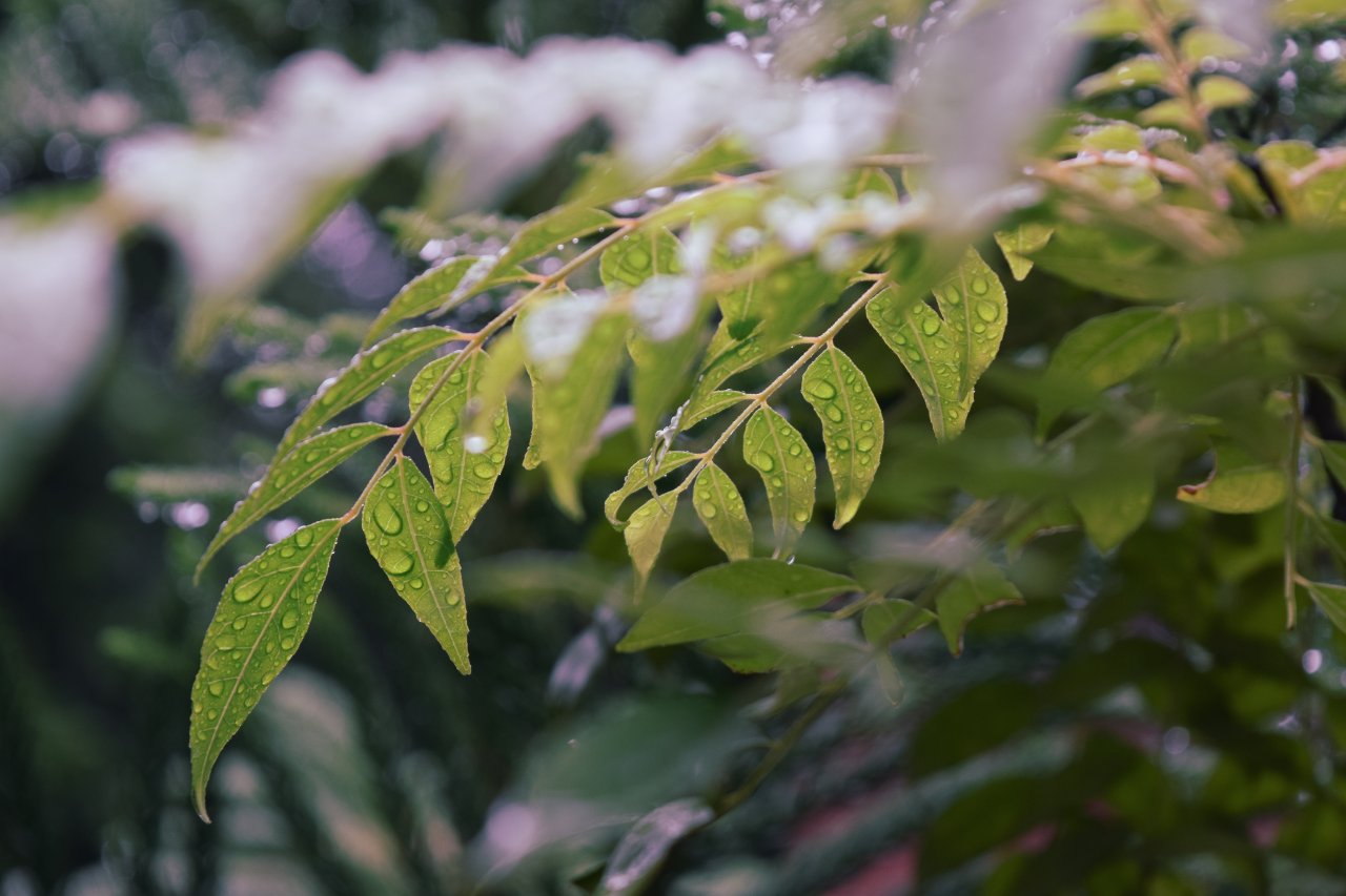 How to measure humidity