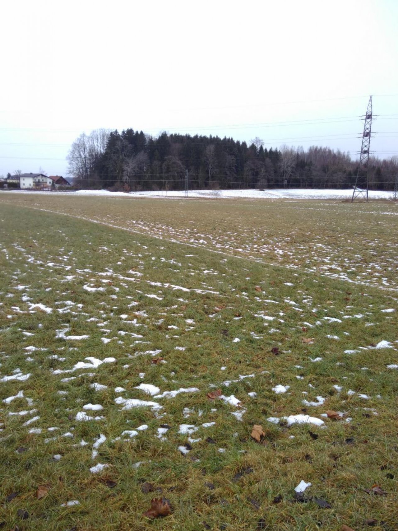 Ende der zusammenhängenden Schneedecke in Naturkalender App spotted by Doris Stampfer on 23.01.2021