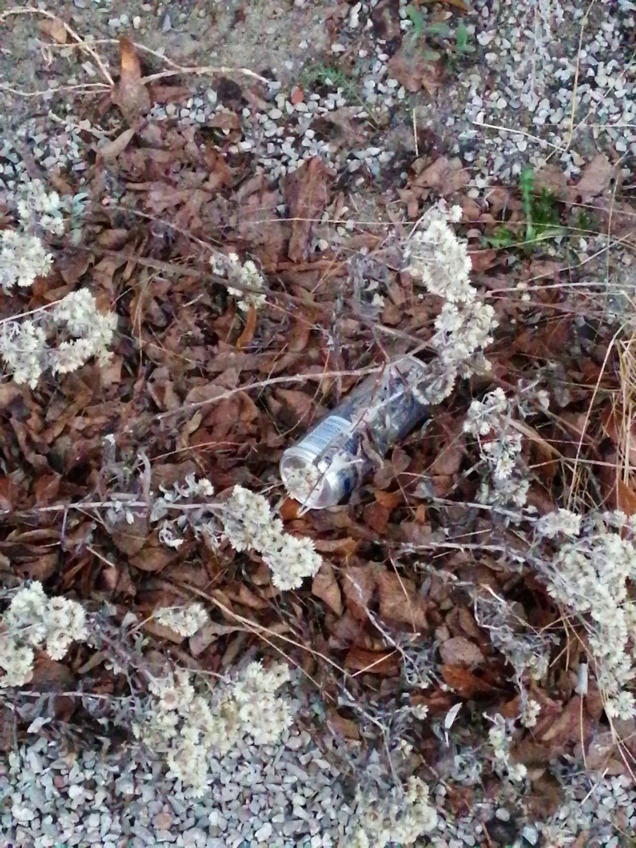 litter in DRECKSPOTZ | GLOBAL 2000 App spotted by Andrea F. on 27.02.2021