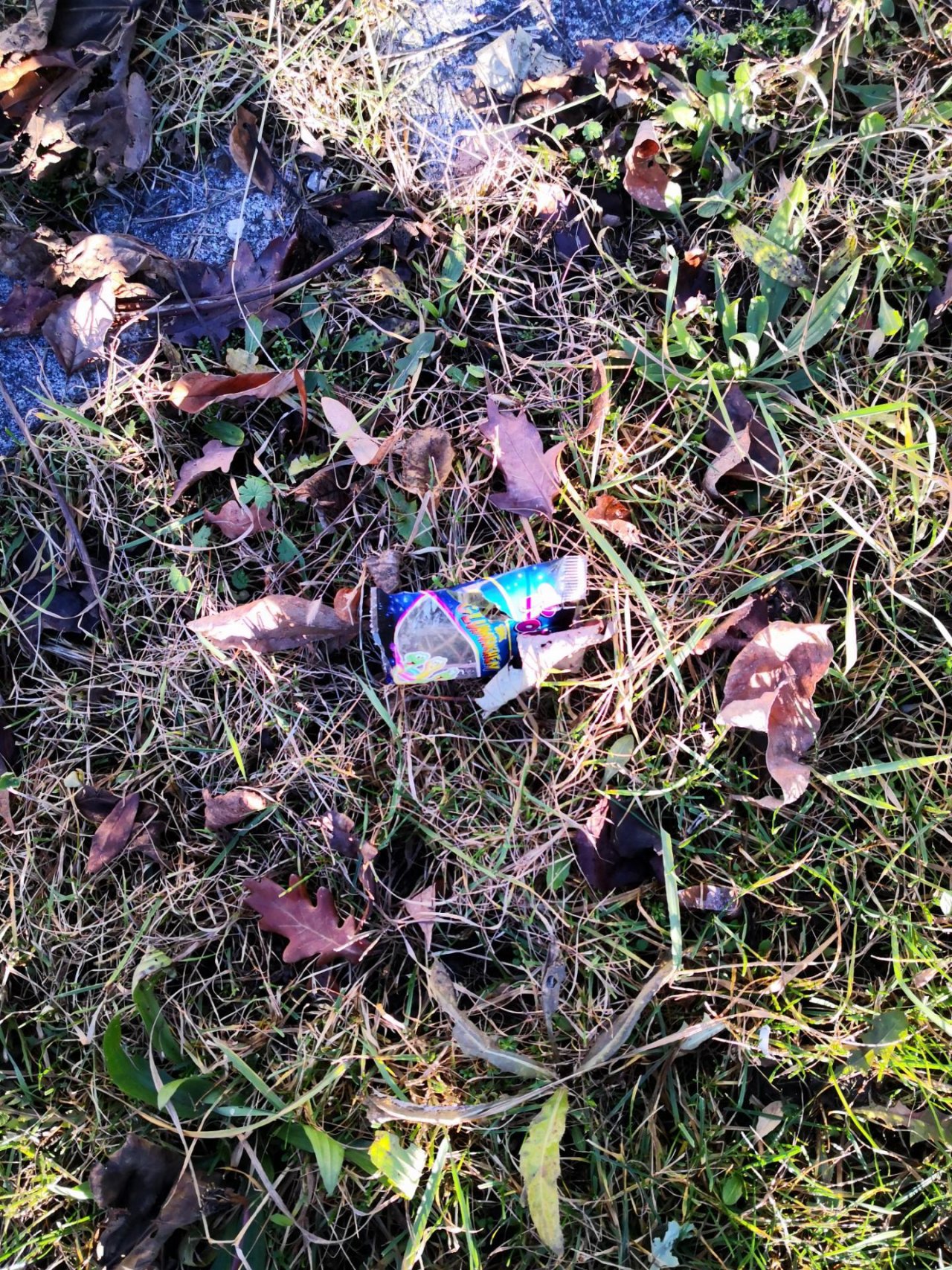 litter in DRECKSPOTZ | GLOBAL 2000 App spotted by Gina1234 on 26.12.2020