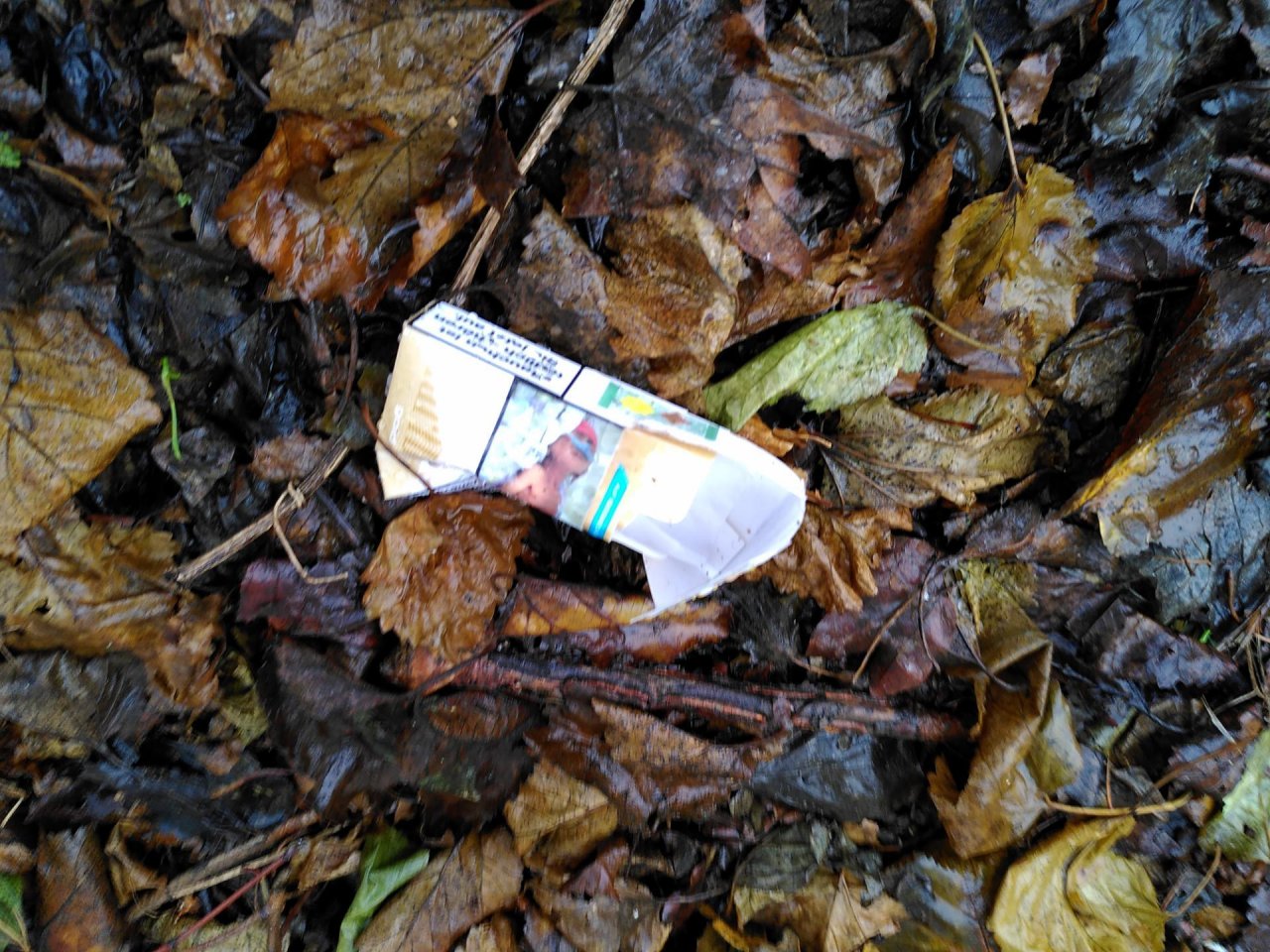 litter in DRECKSPOTZ | GLOBAL 2000 App spotted by TheOSWR on 06.01.2021