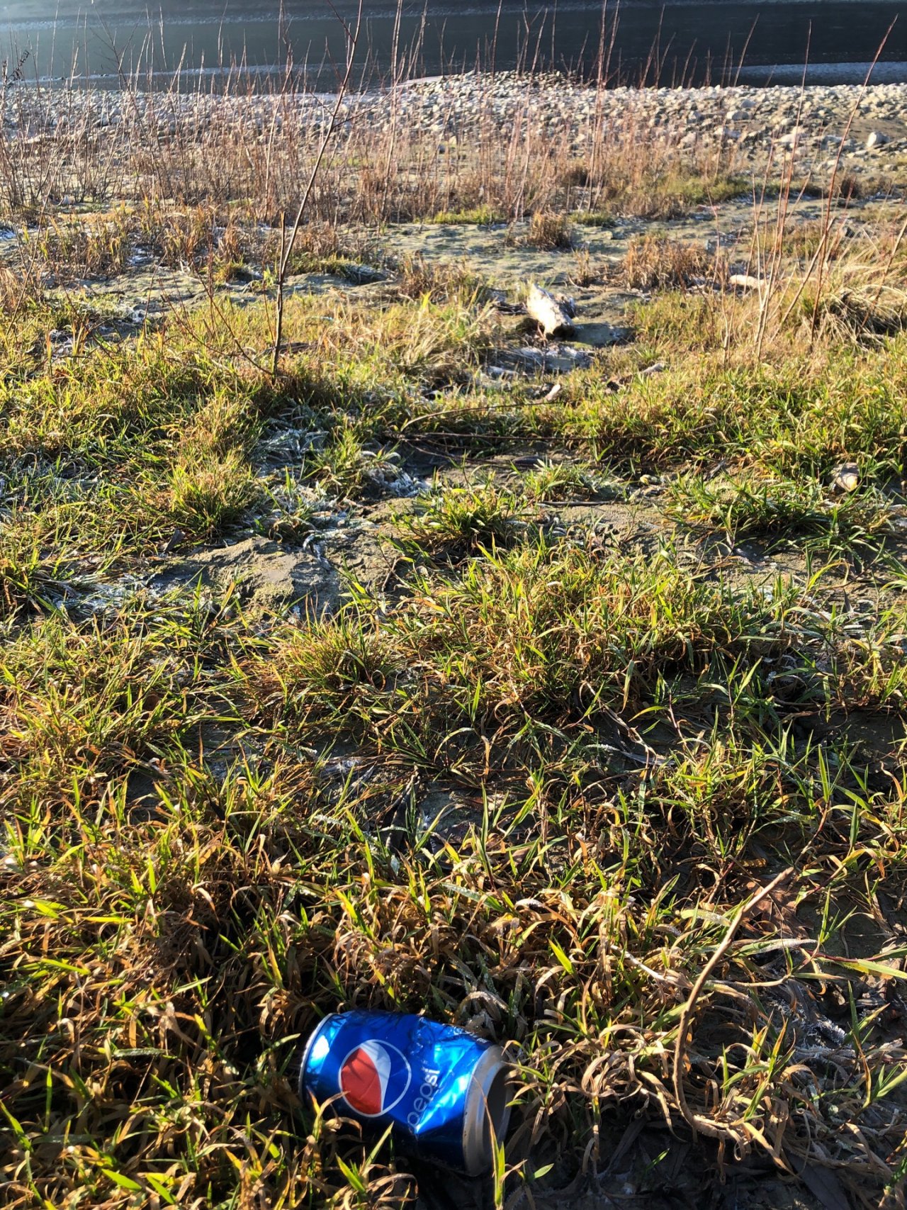 litter in DRECKSPOTZ | GLOBAL 2000 App spotted by Thomas Liska on 11.01.2021