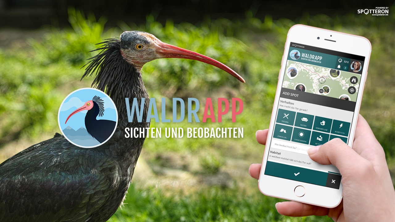 WaldrApp