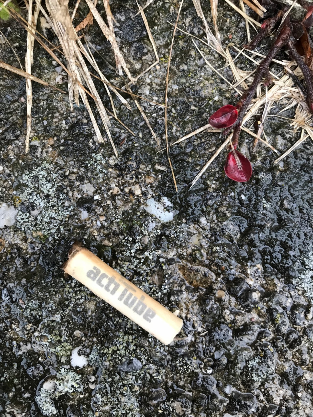 litter in DRECKSPOTZ | GLOBAL 2000 App spotted by Gabriele Kriz on 30.12.2020