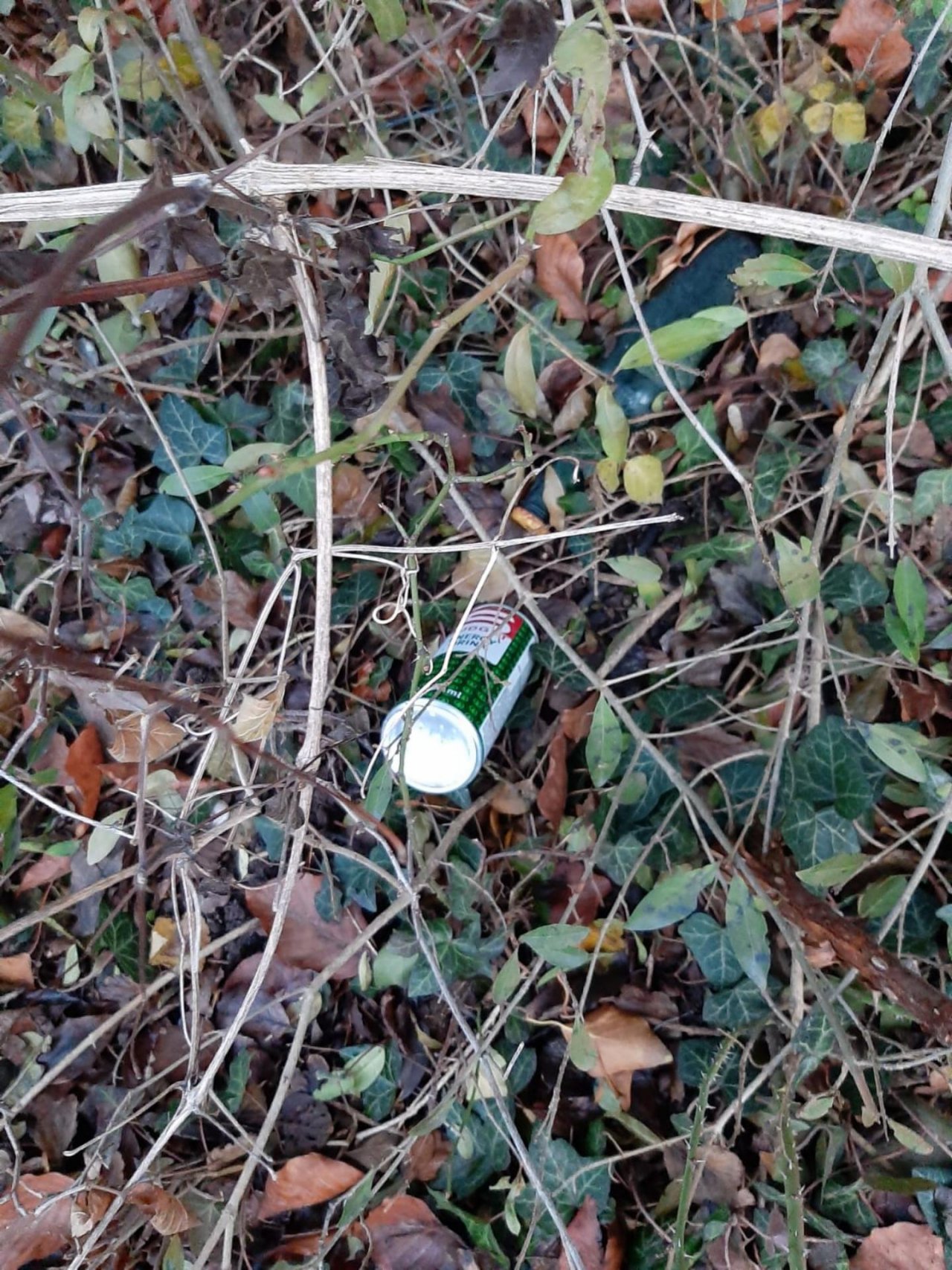 litter in DRECKSPOTZ | GLOBAL 2000 App spotted by Dreckspitz on 29.12.2020