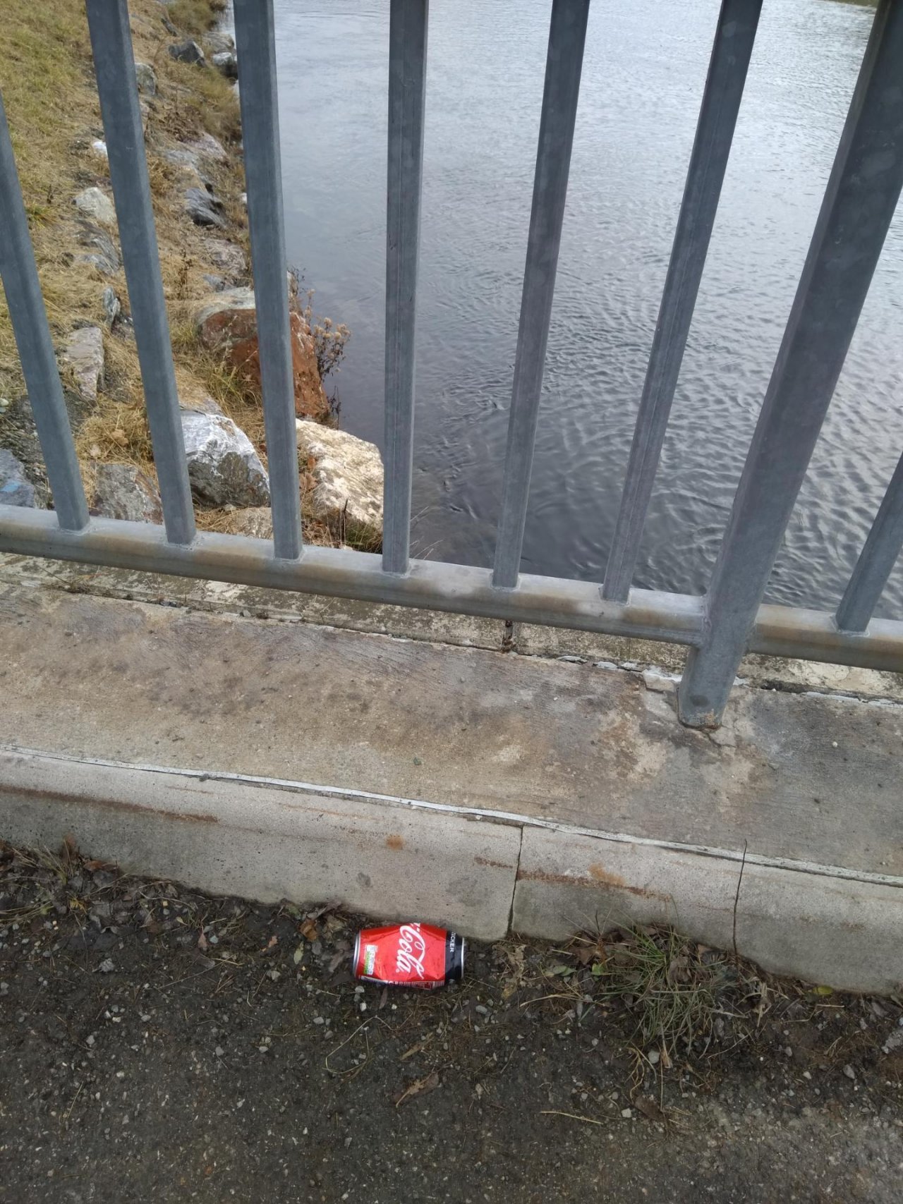 litter in DRECKSPOTZ | GLOBAL 2000 App spotted by camper on 23.12.2020