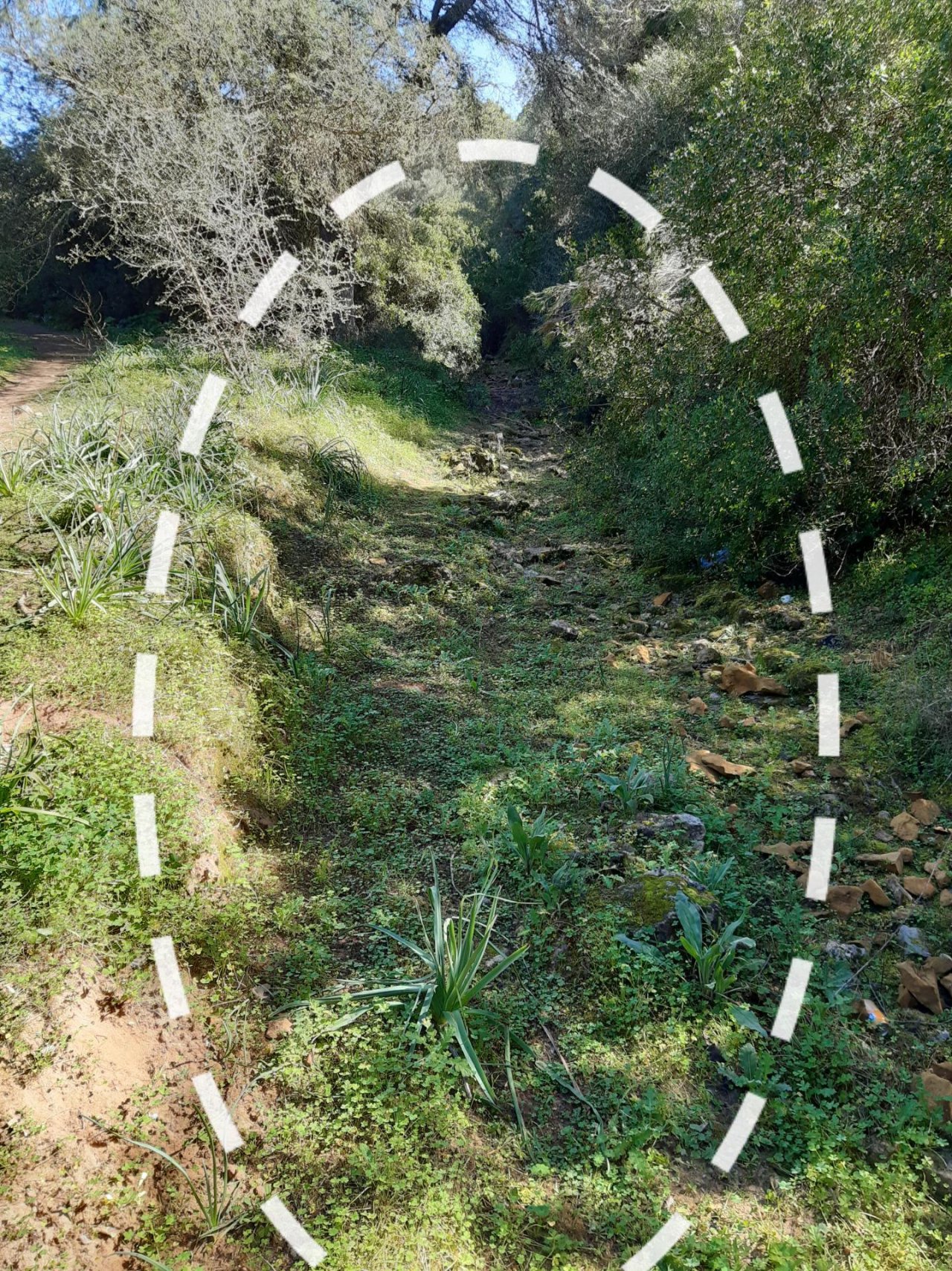 soil moisture in CrowdWater App spotted by Toni Moreno on 20.02.2021