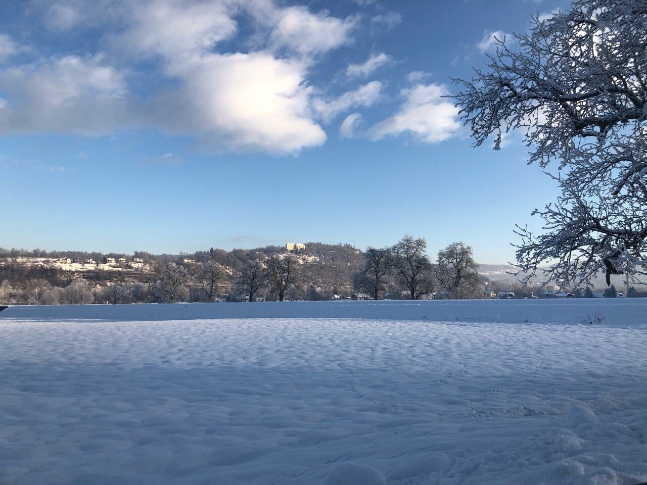 Zusammenhängende Schneedecke in Naturkalender App spotted by Morgentau on 13.01.2021