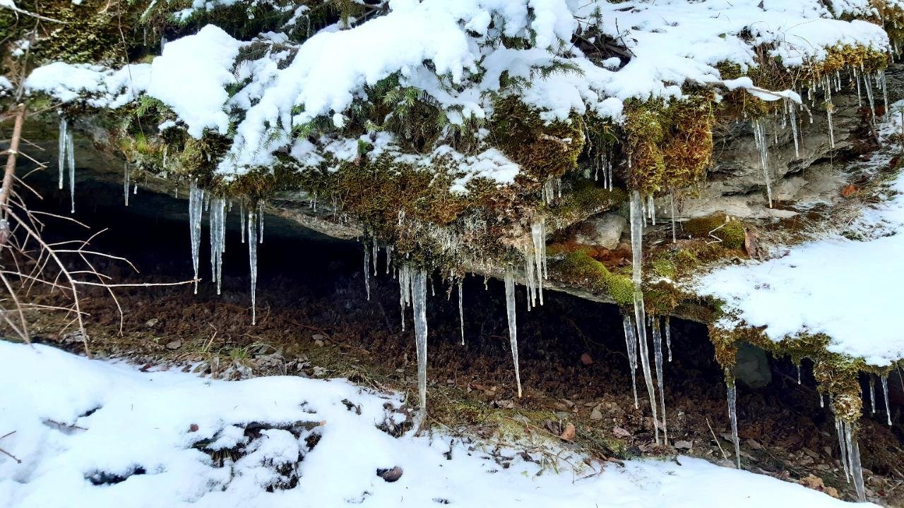 Eiszapfen in Naturkalender App spotted by Steinbock on 27.12.2020