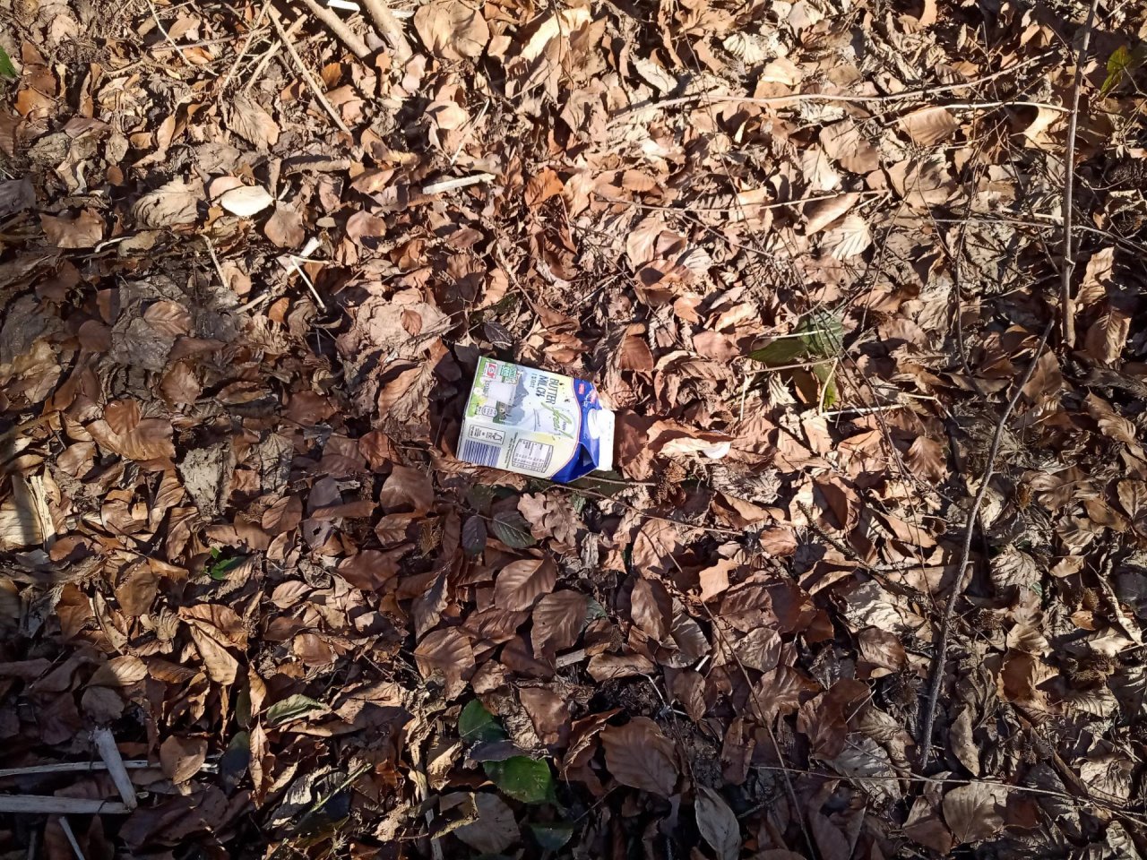 litter in DRECKSPOTZ | GLOBAL 2000 App spotted by KaterBilla on 06.03.2021