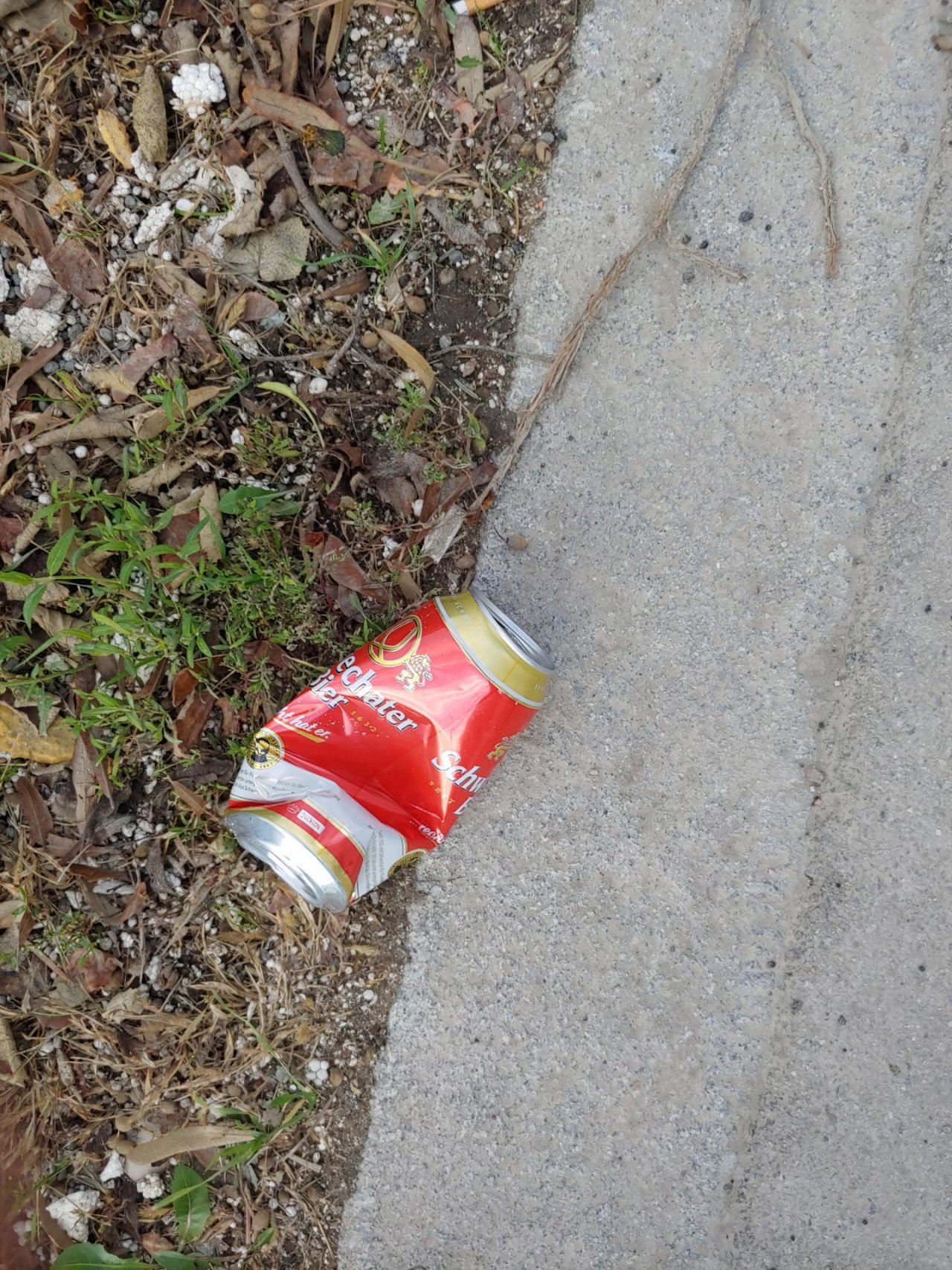 litter in DRECKSPOTZ | GLOBAL 2000 App spotted by Christian Kantner on 26.12.2020