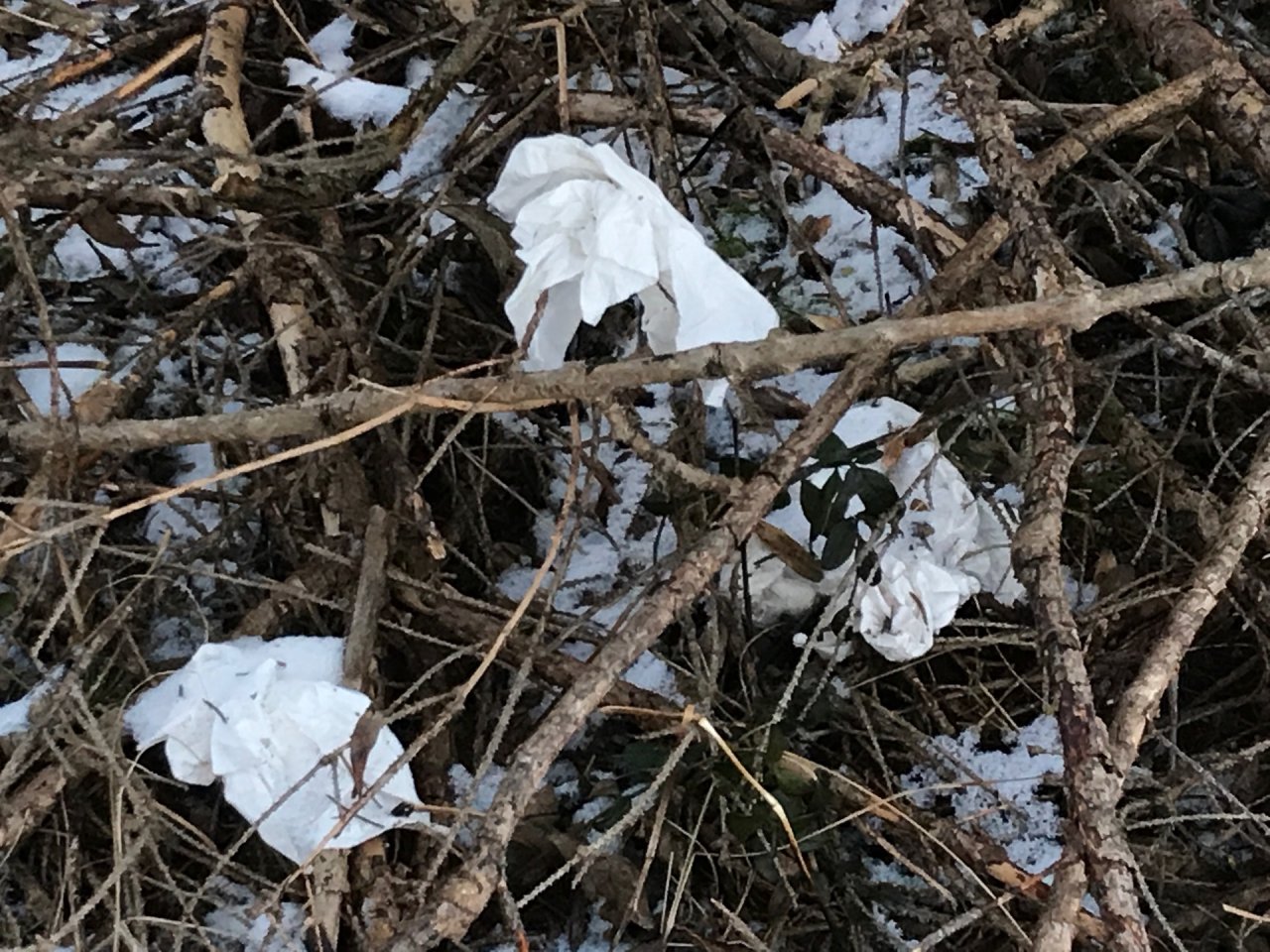 litter in DRECKSPOTZ | GLOBAL 2000 App spotted by Baumi21 on 04.01.2021