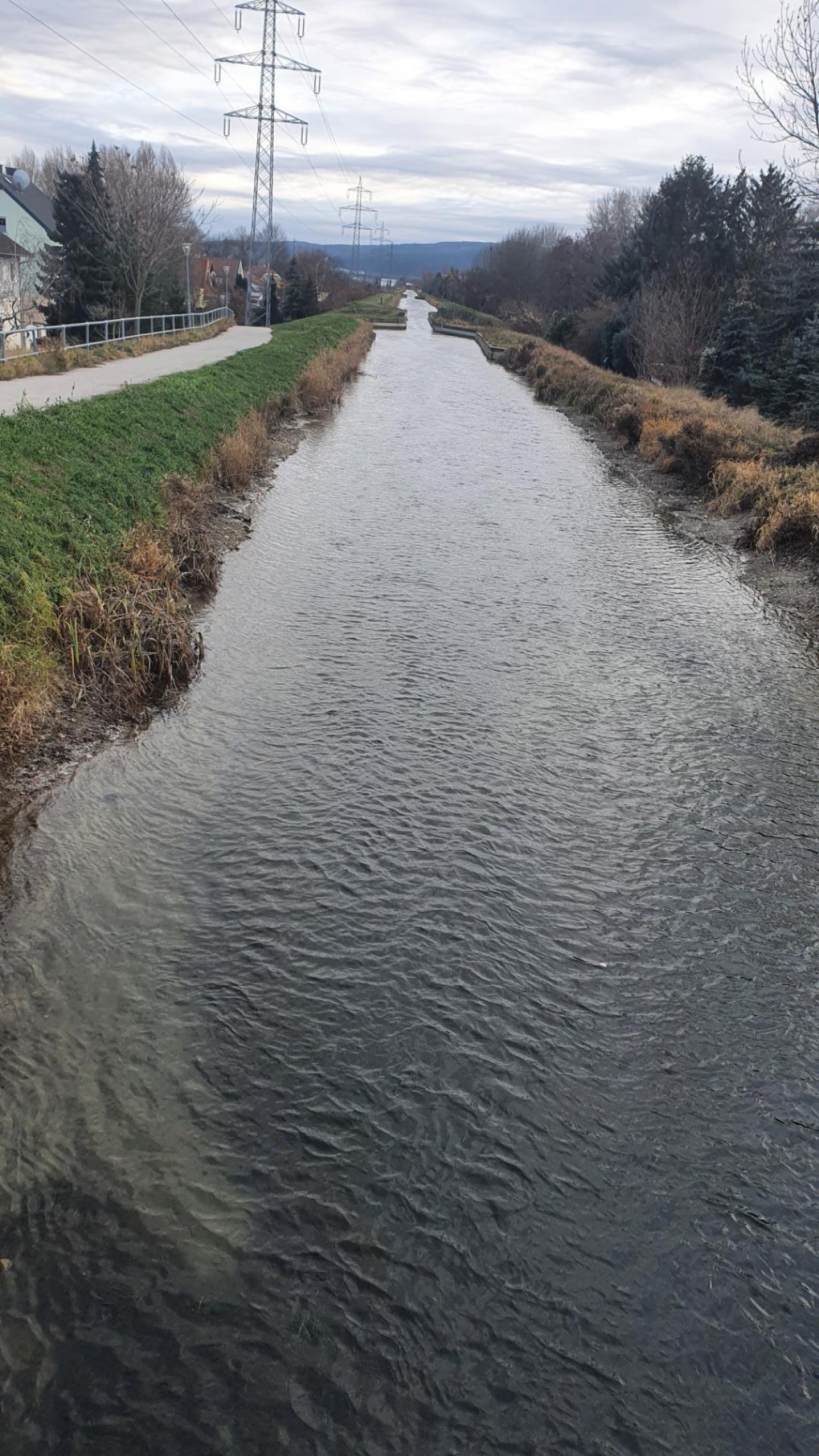 stream type in CrowdWater App spotted by A Mile Of Sky on 27.12.2020