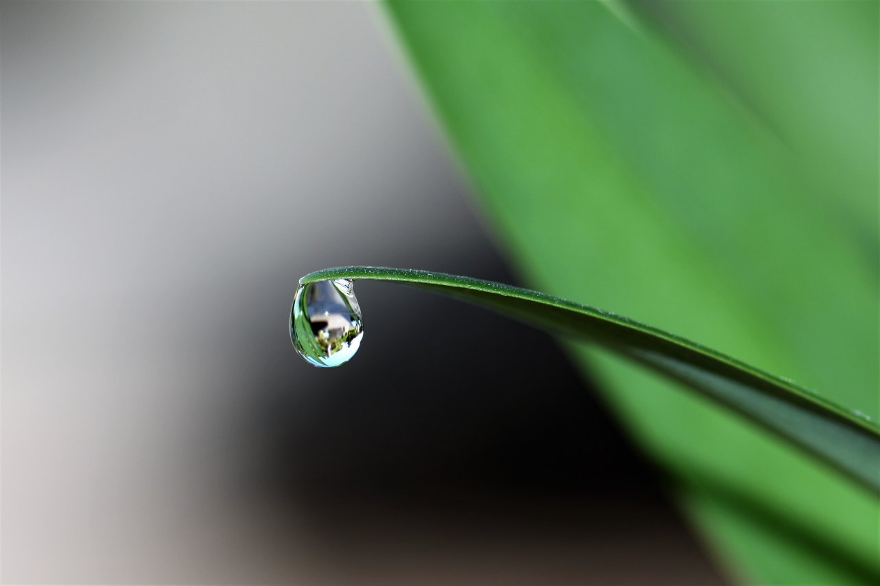 How to read the water level gauge