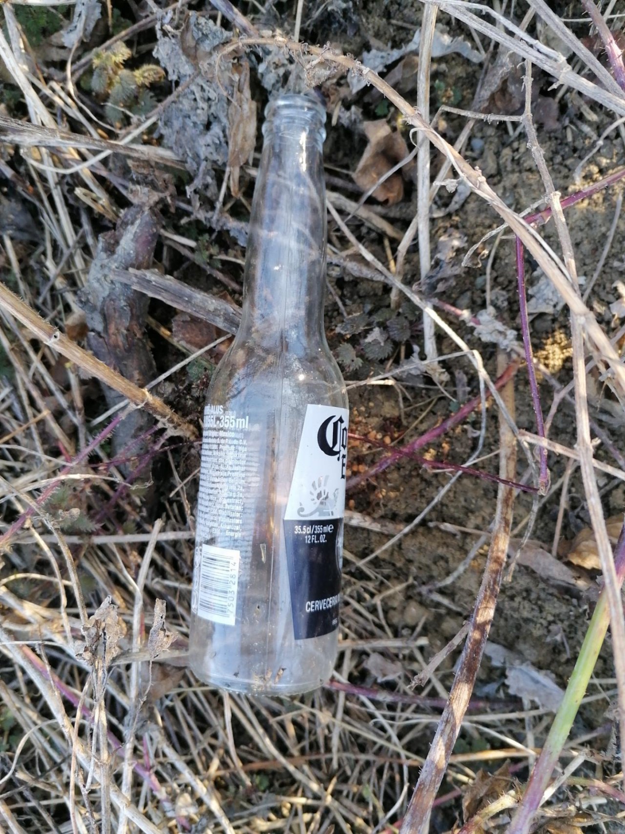 litter in DRECKSPOTZ | GLOBAL 2000 App spotted by Mel Salamon on 01.03.2021