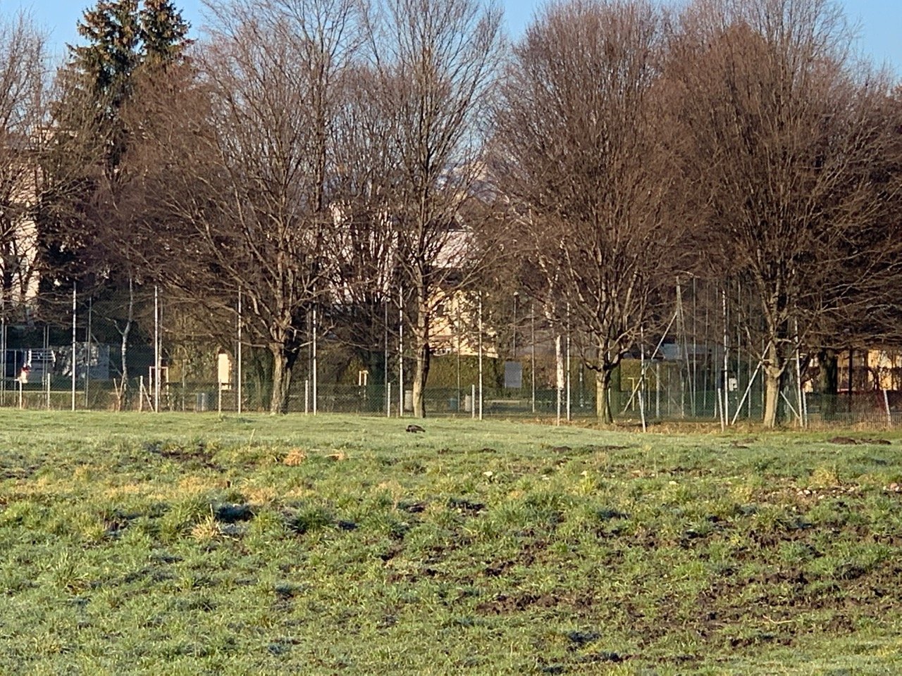 Waldrapp in WaldrApp App spotted by ppscherer on 31.12.2020