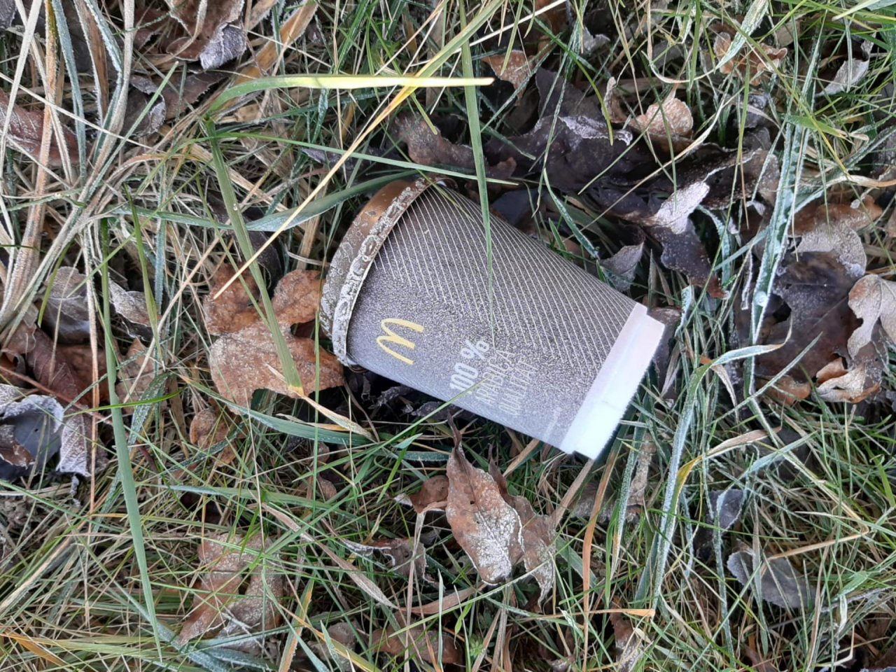 litter in DRECKSPOTZ | GLOBAL 2000 App spotted by Dreckspitz on 27.12.2020