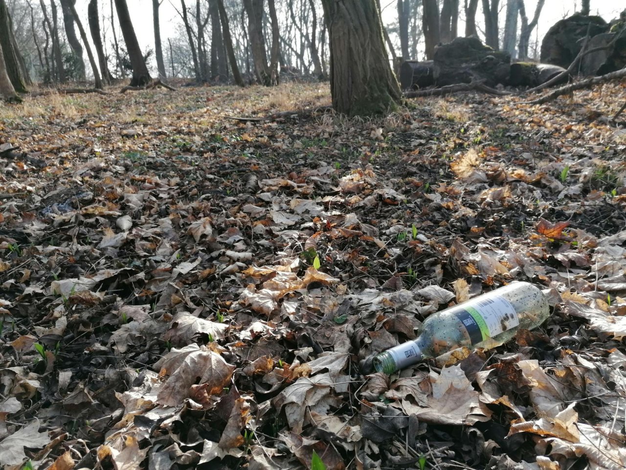 litter in DRECKSPOTZ | GLOBAL 2000 App spotted by Andrea F. on 25.02.2021