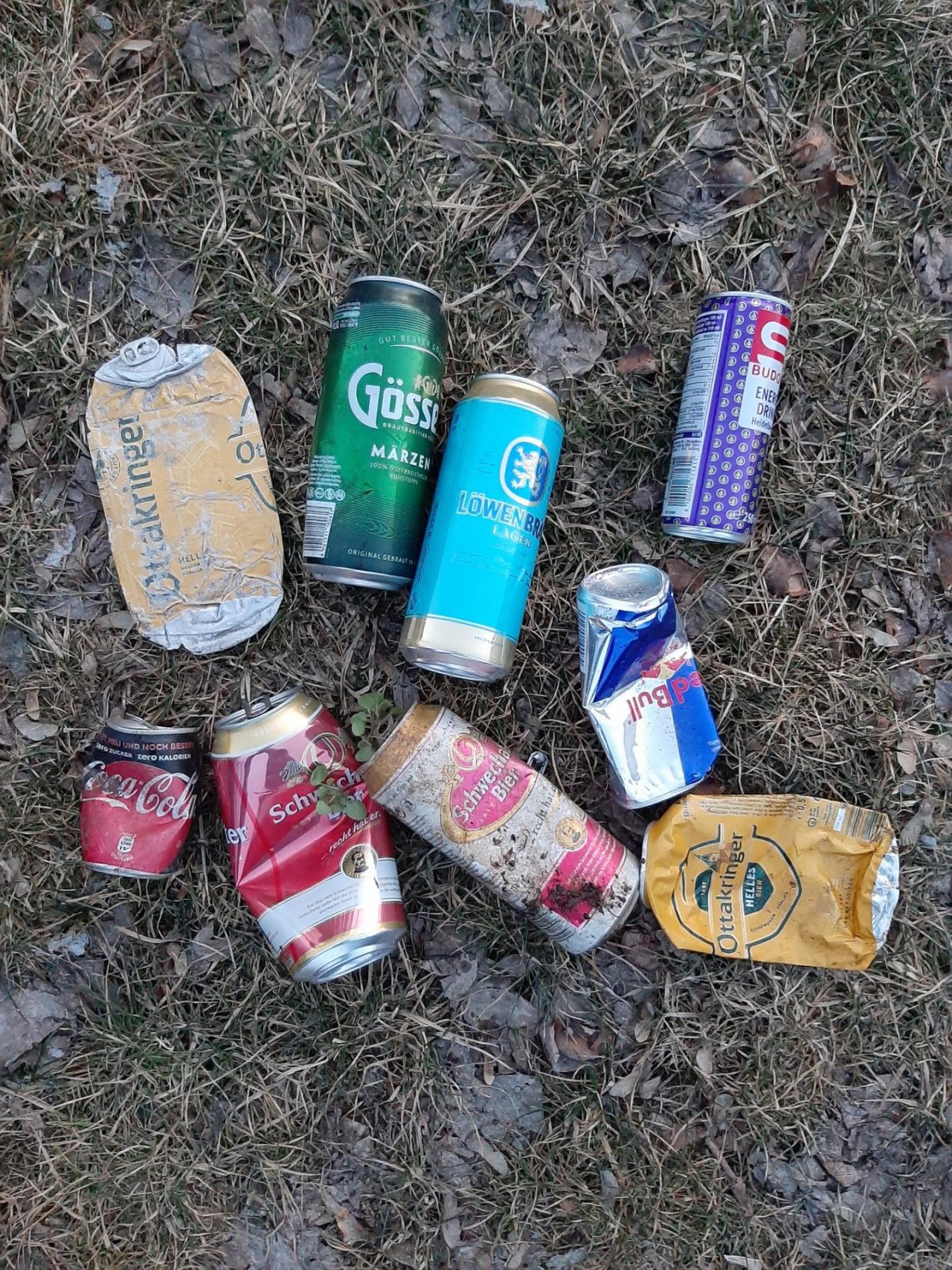 litter in DRECKSPOTZ | GLOBAL 2000 App spotted by Gudrun H. on 15.02.2021