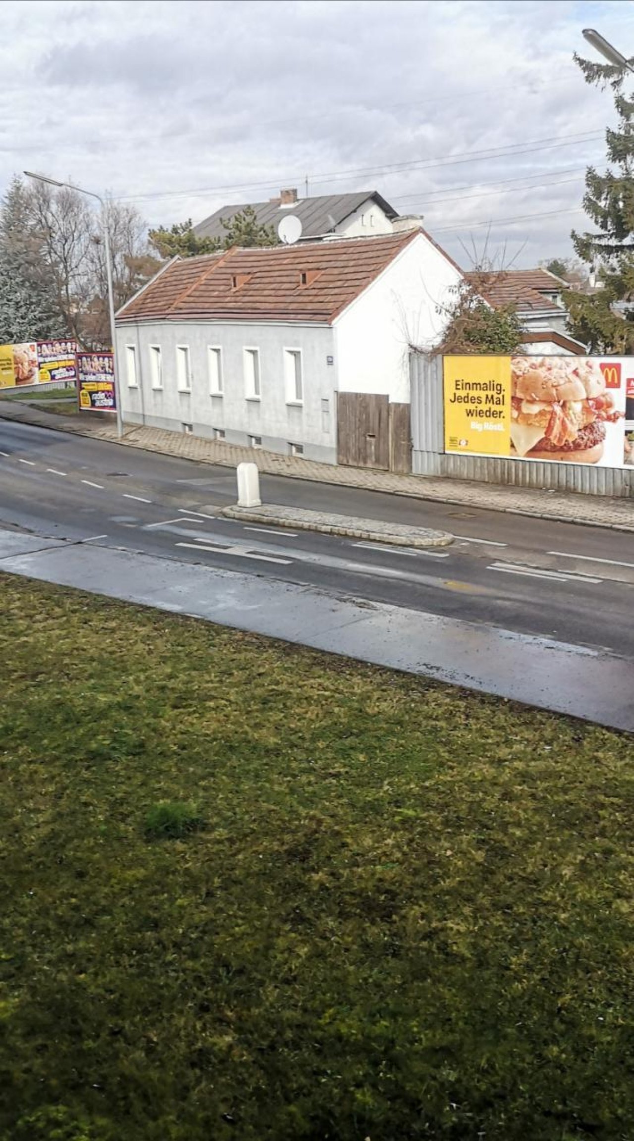 Ende der zusammenhängenden Schneedecke in Naturkalender App spotted by Karluise on 28.01.2021