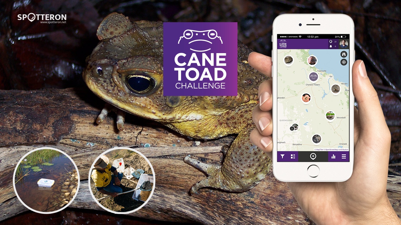 CaneToads