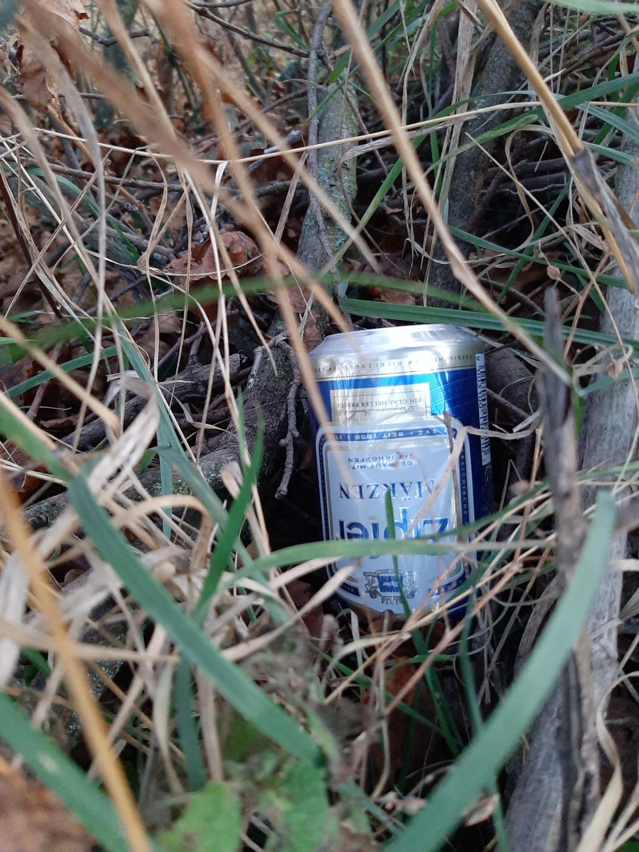 litter in DRECKSPOTZ | GLOBAL 2000 App spotted by Gudrun H. on 31.12.2020