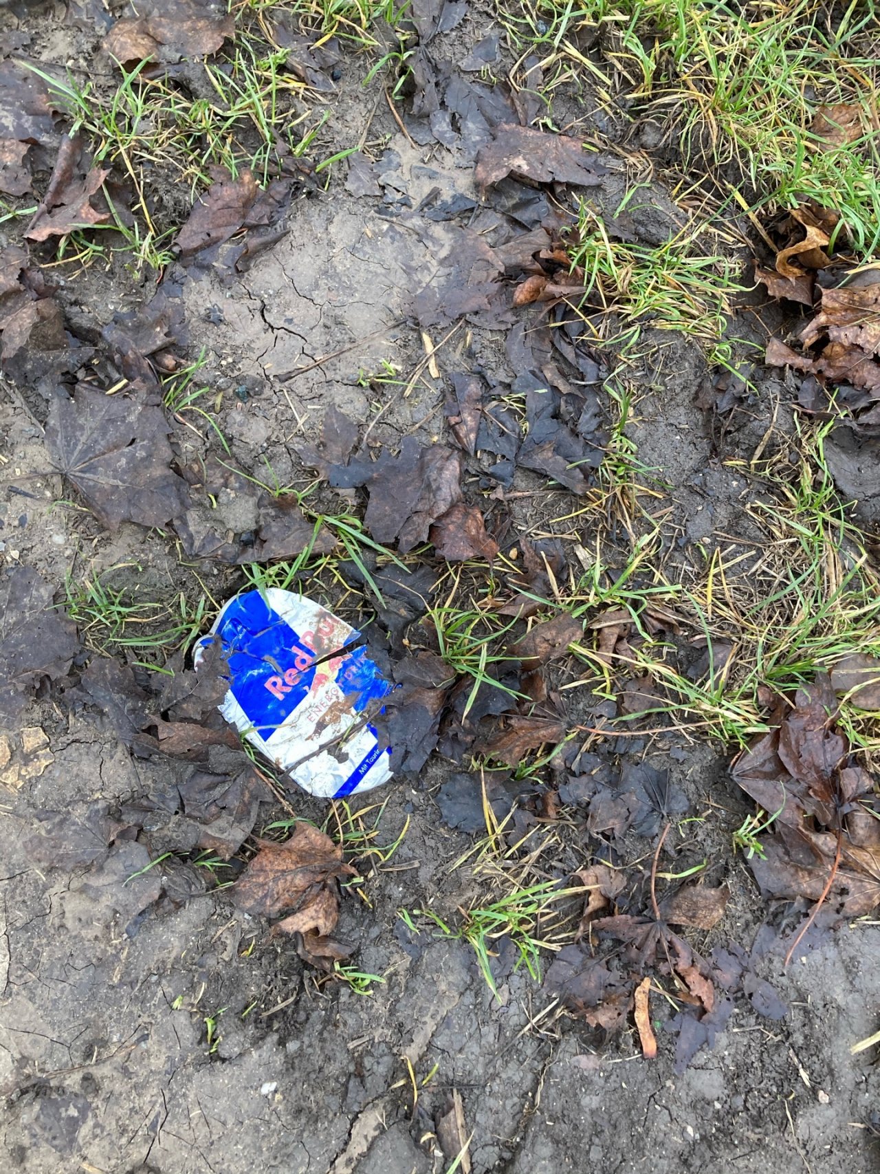 litter in DRECKSPOTZ | GLOBAL 2000 App spotted by kitzkatz on 02.01.2021