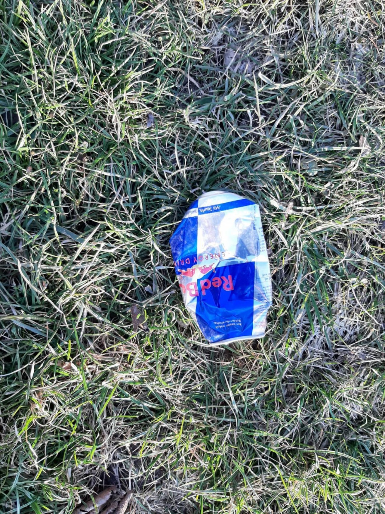 litter in DRECKSPOTZ | GLOBAL 2000 App spotted by Dreckspitz on 08.03.2021