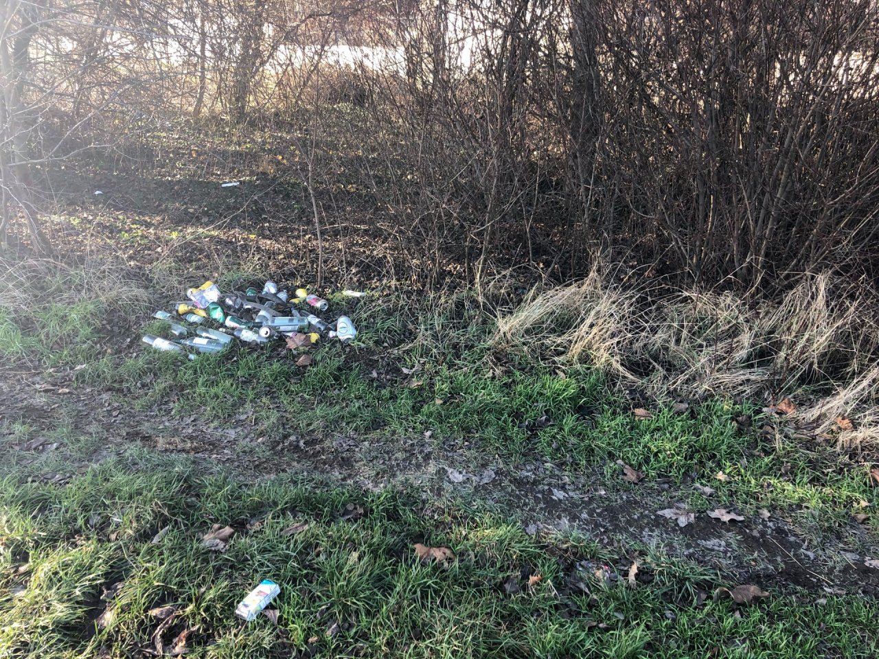 litter in DRECKSPOTZ | GLOBAL 2000 App spotted by NEOS Ebreichsdorf on 30.12.2020