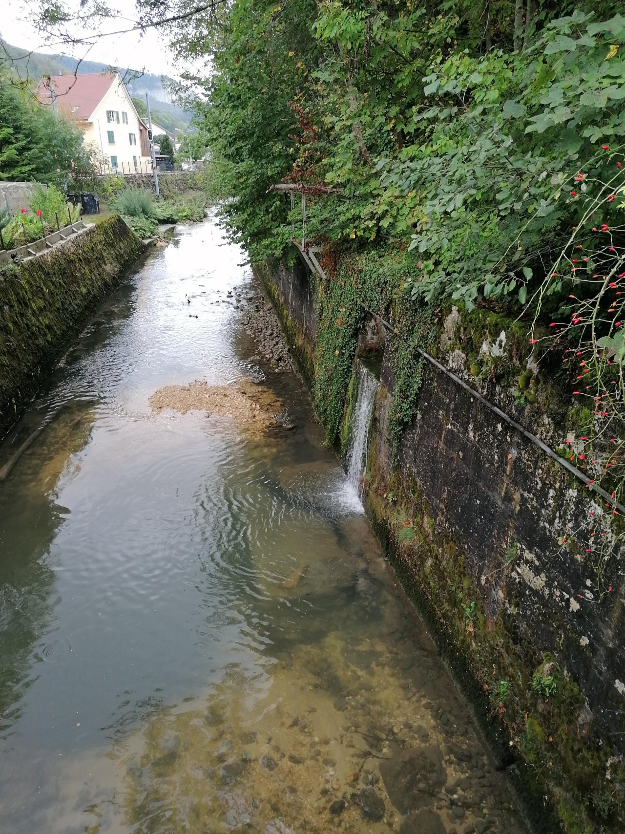 stream type in CrowdWater App spotted by mm4144 on 23.09.2020