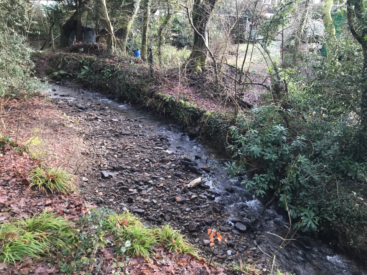 temporary stream in CrowdWater App spotted by Frances Attwood on 31.12.2020