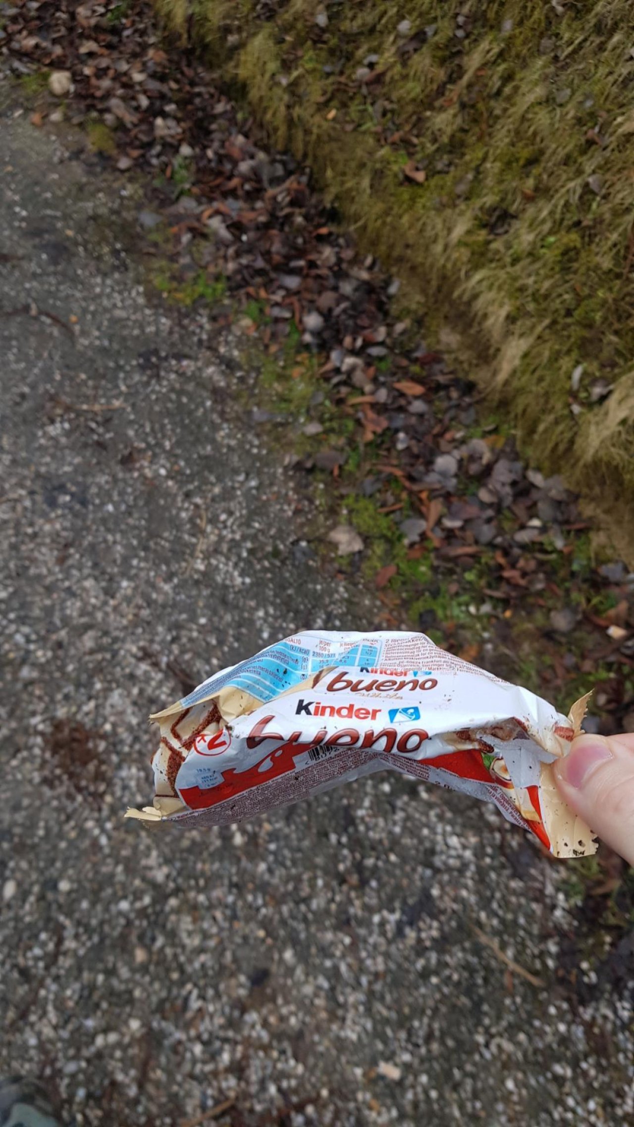 litter in DRECKSPOTZ | GLOBAL 2000 App spotted by Garrez on 27.02.2021