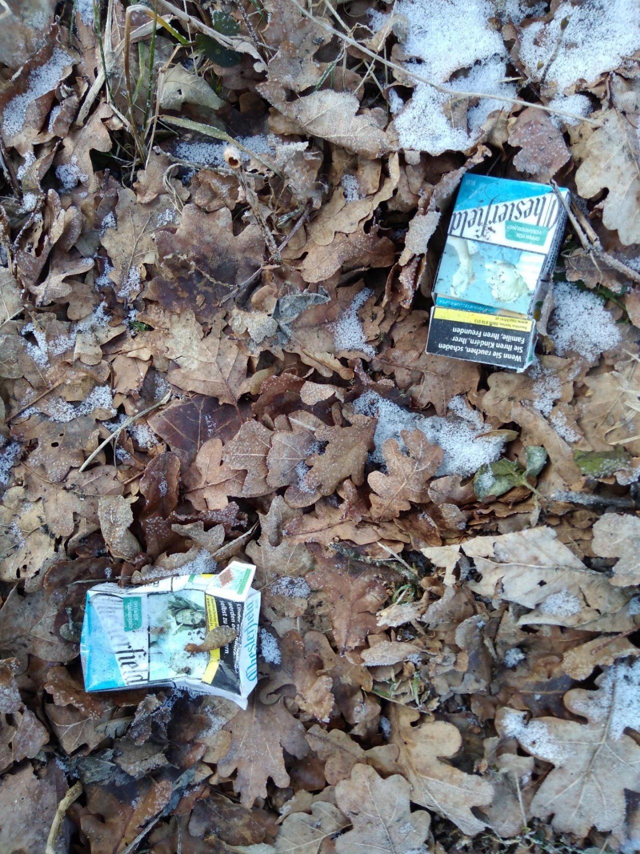 litter in DRECKSPOTZ | GLOBAL 2000 App spotted by Roland Bliem on 12.02.2021