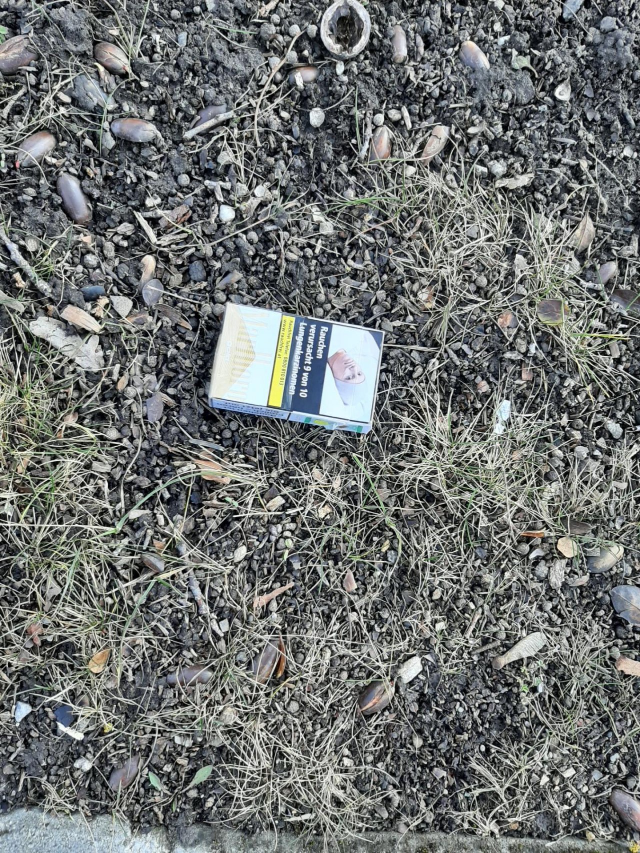 litter in DRECKSPOTZ | GLOBAL 2000 App spotted by Gudrun H. on 24.01.2021