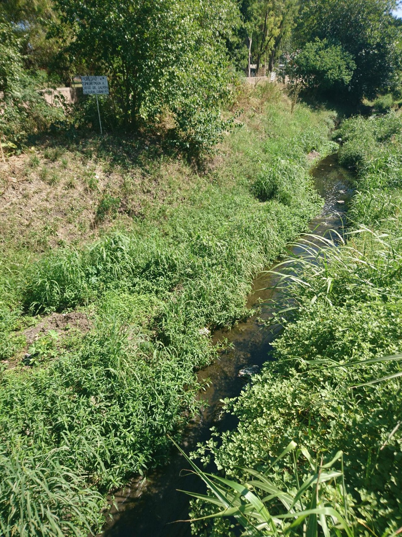 plastic pollution in CrowdWater App spotted by RomiGaleota on 22.01.2021