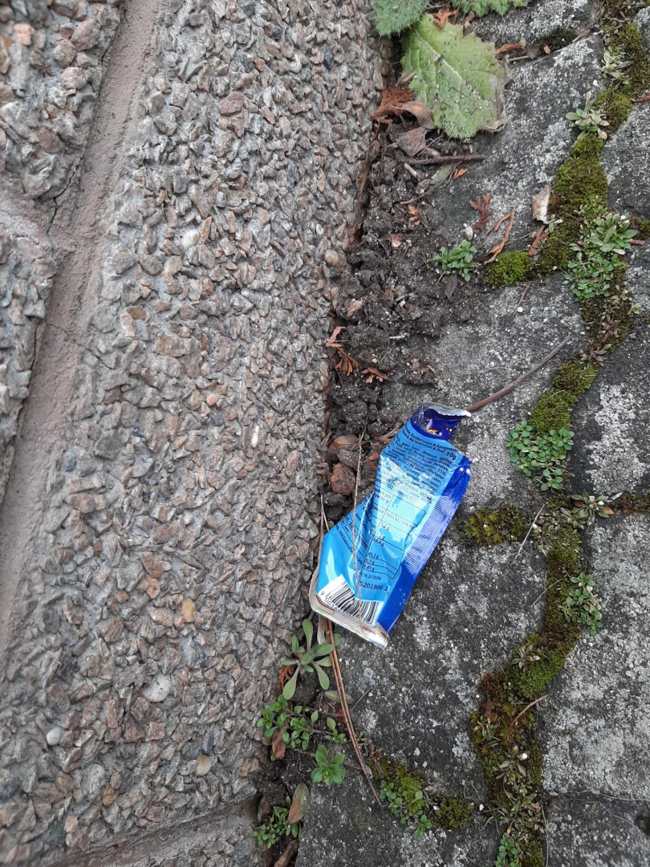 litter in DRECKSPOTZ | GLOBAL 2000 App spotted by Gudrun H. on 19.02.2021