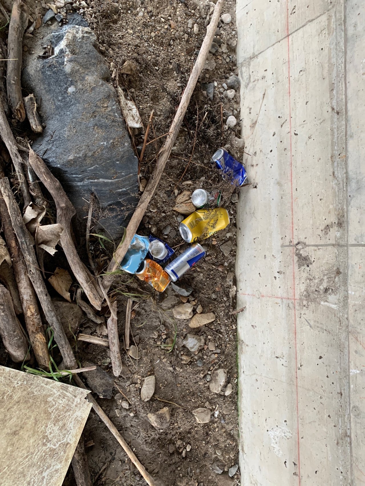 litter in DRECKSPOTZ | GLOBAL 2000 App spotted by Anna Graf on 06.02.2021