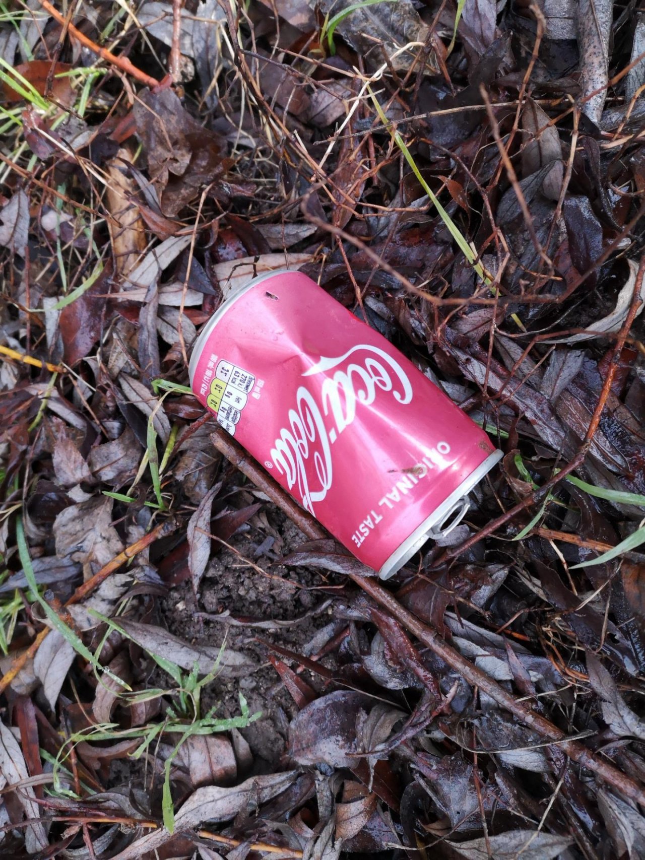 litter in DRECKSPOTZ | GLOBAL 2000 App spotted by Dosimeter on 02.01.2021