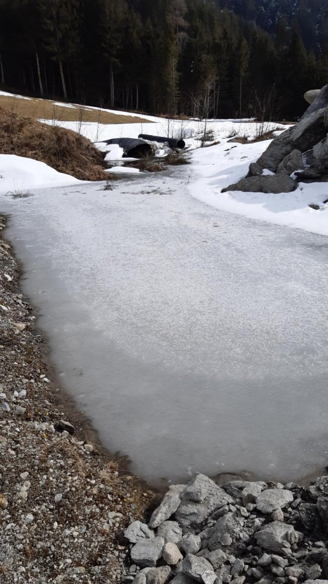 Eis auf Bächen und Teichen in Naturkalender App spotted by Steinbock on 09.03.2021